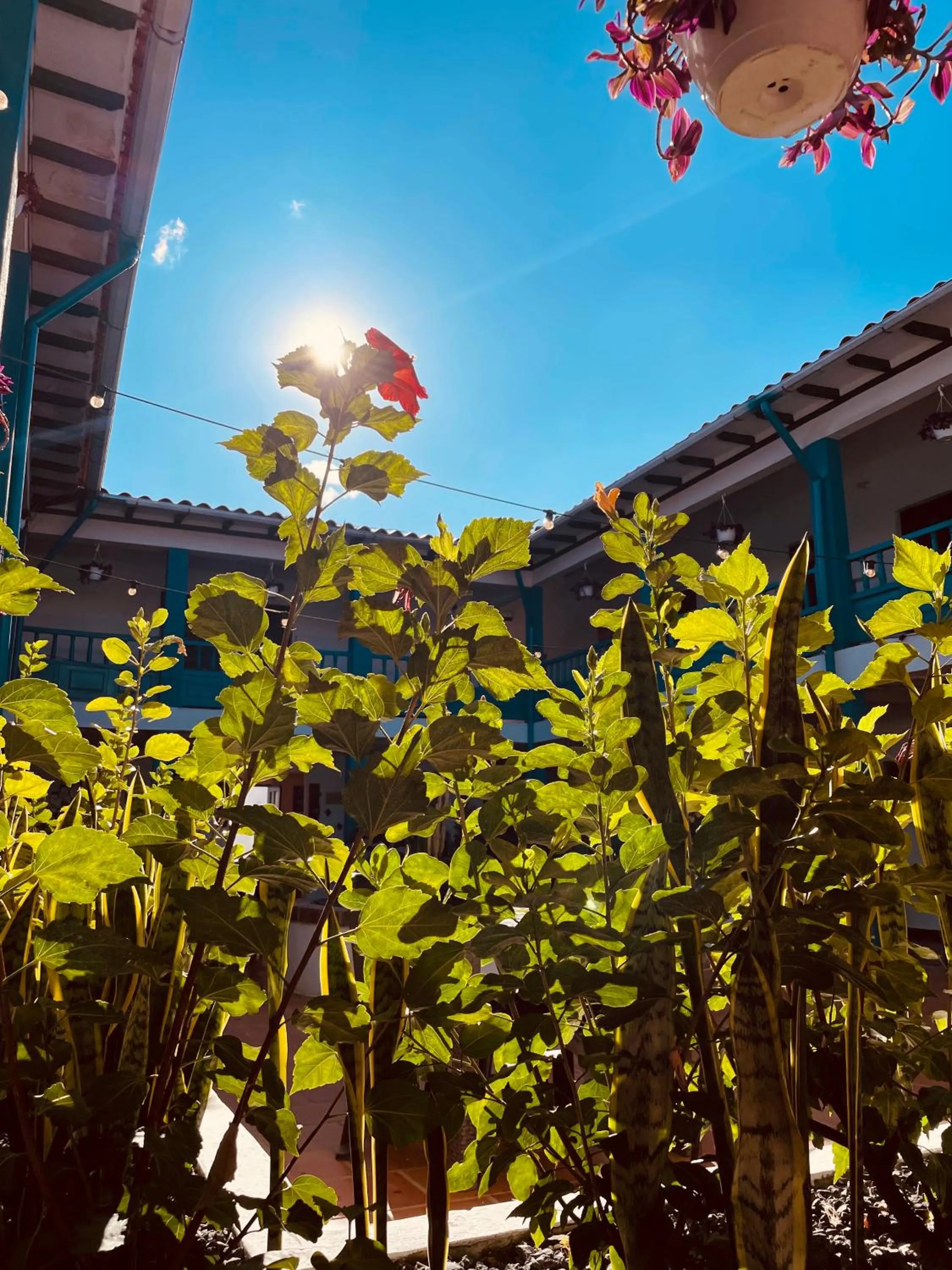 Garden in Celeste Villa de Leyva