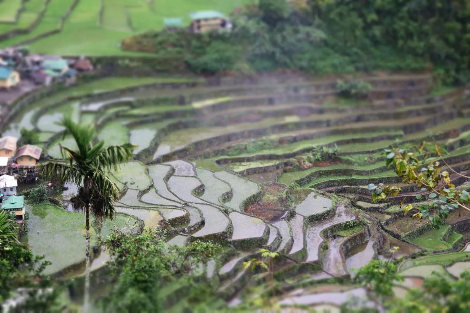 Batad Pension and Restaurant