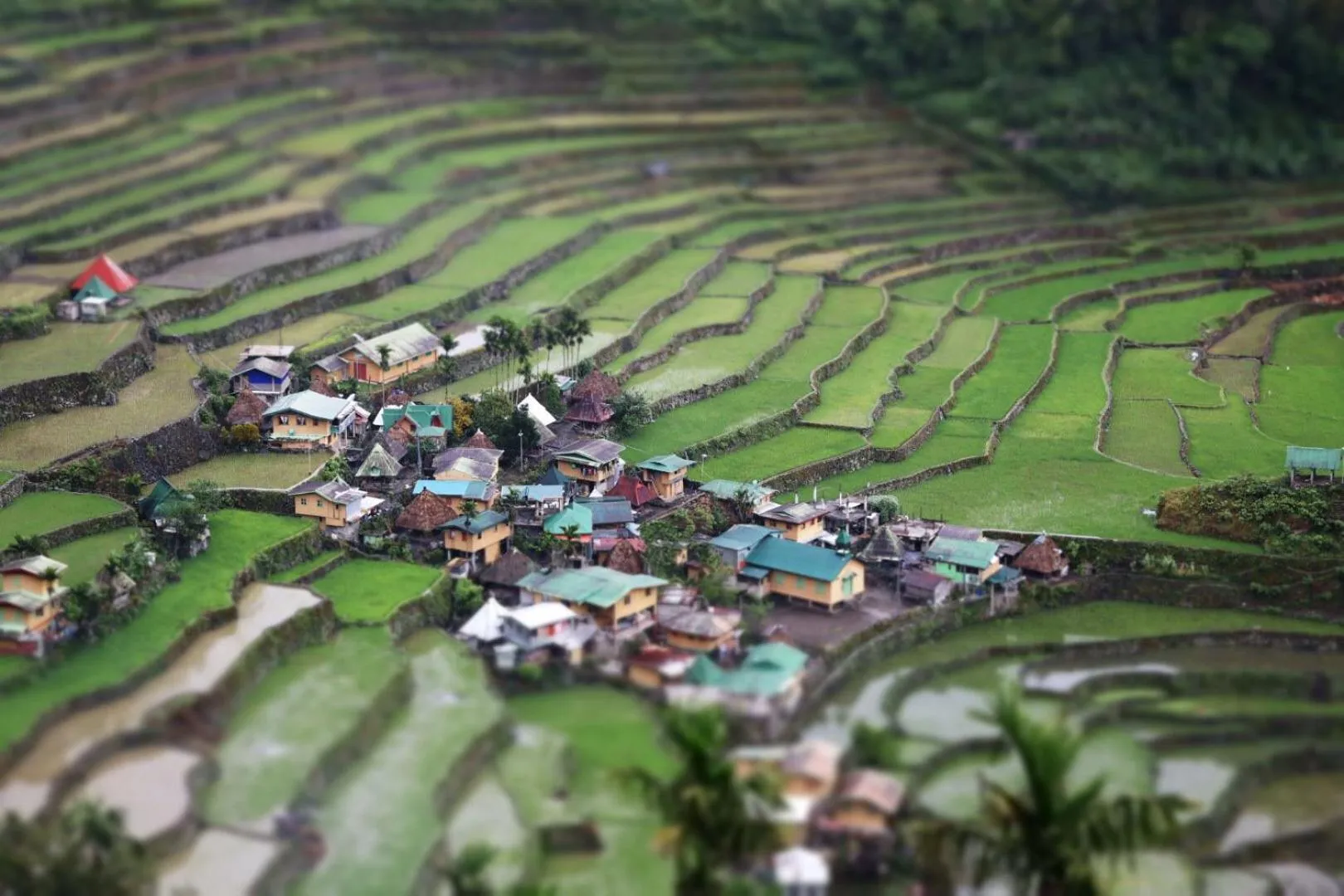 Batad Pension and Restaurant