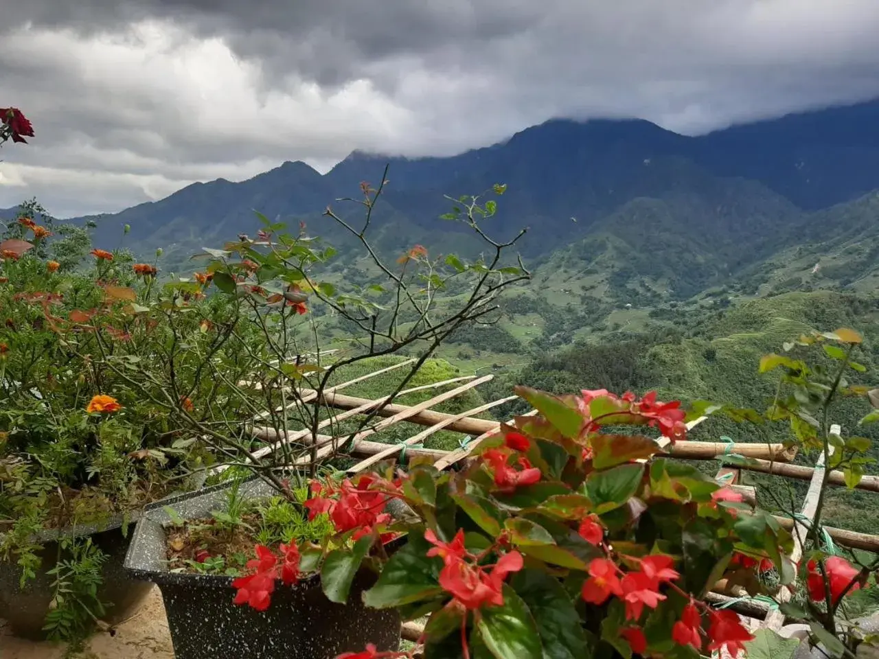 Property building in VALLEY VIEW COFFEE & STAY Property building in VALLEY VIEW COFFEE & STAY