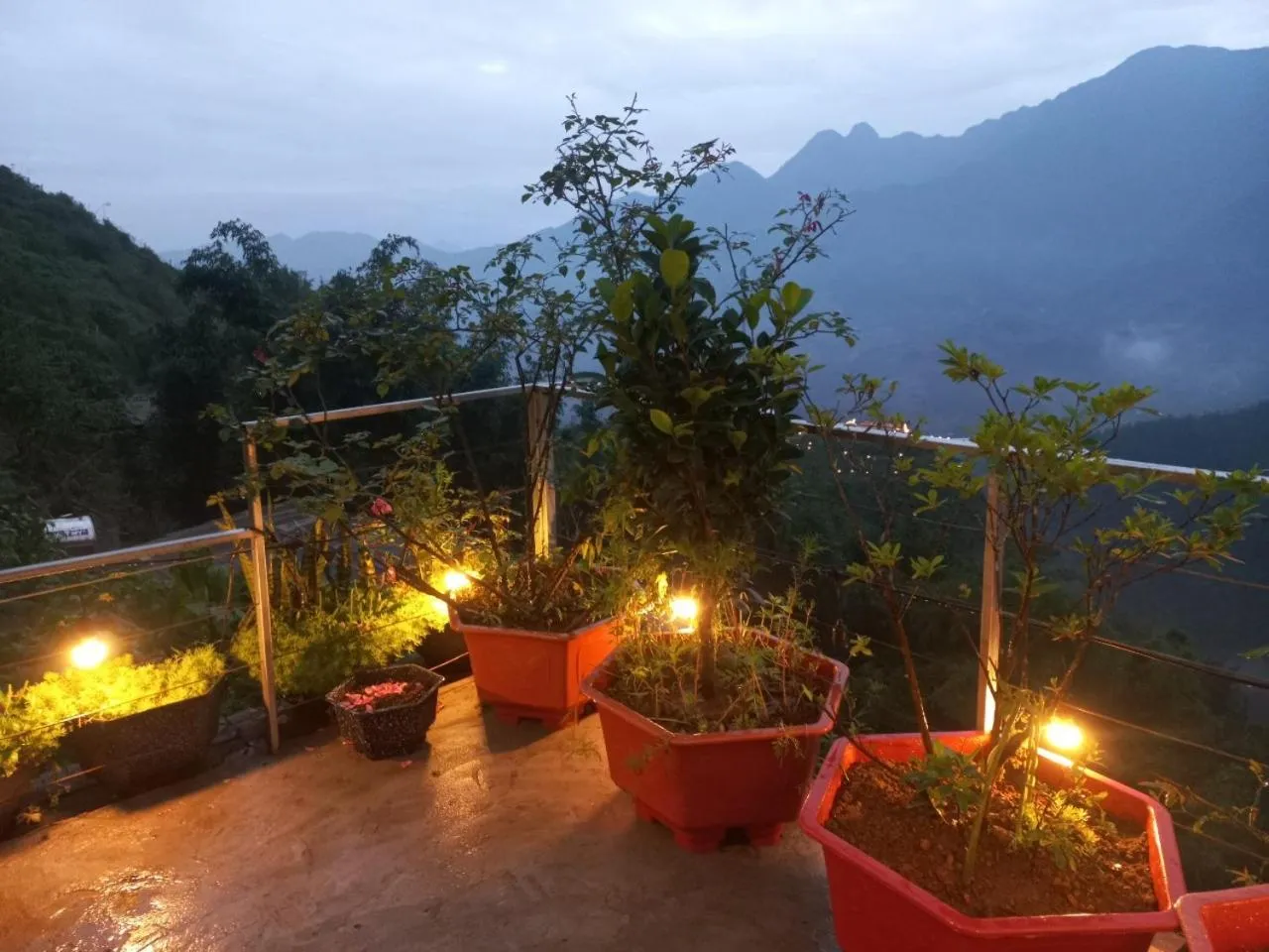 Garden in VALLEY VIEW COFFEE & STAY