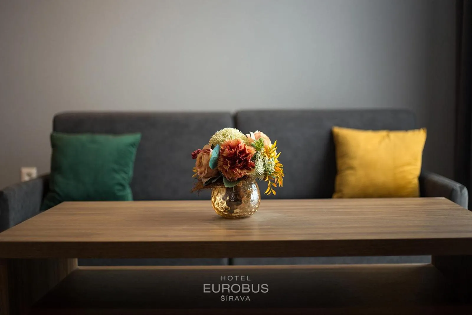 Living room in Hotel Eurobus