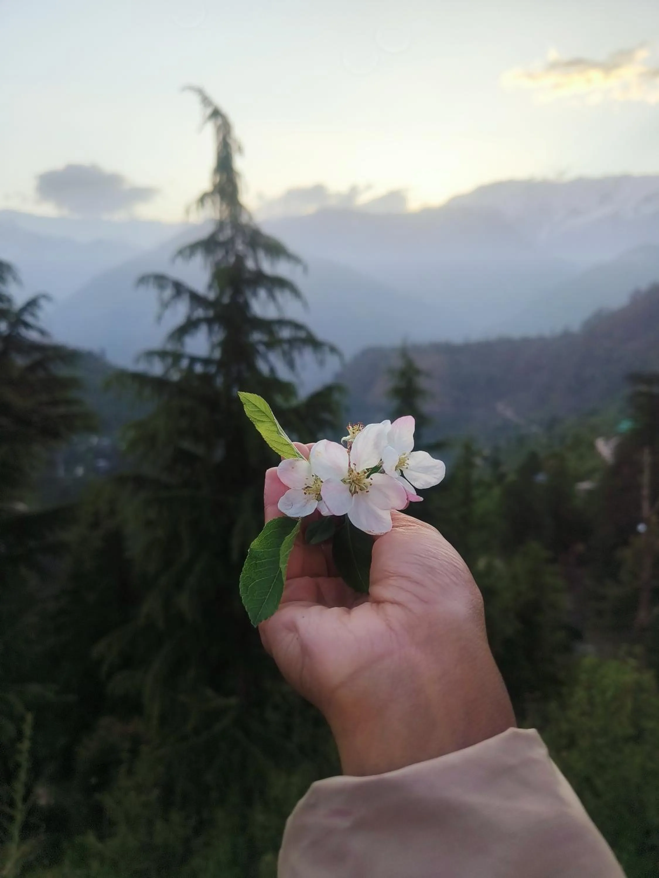 Day in The Kailasha Homestay