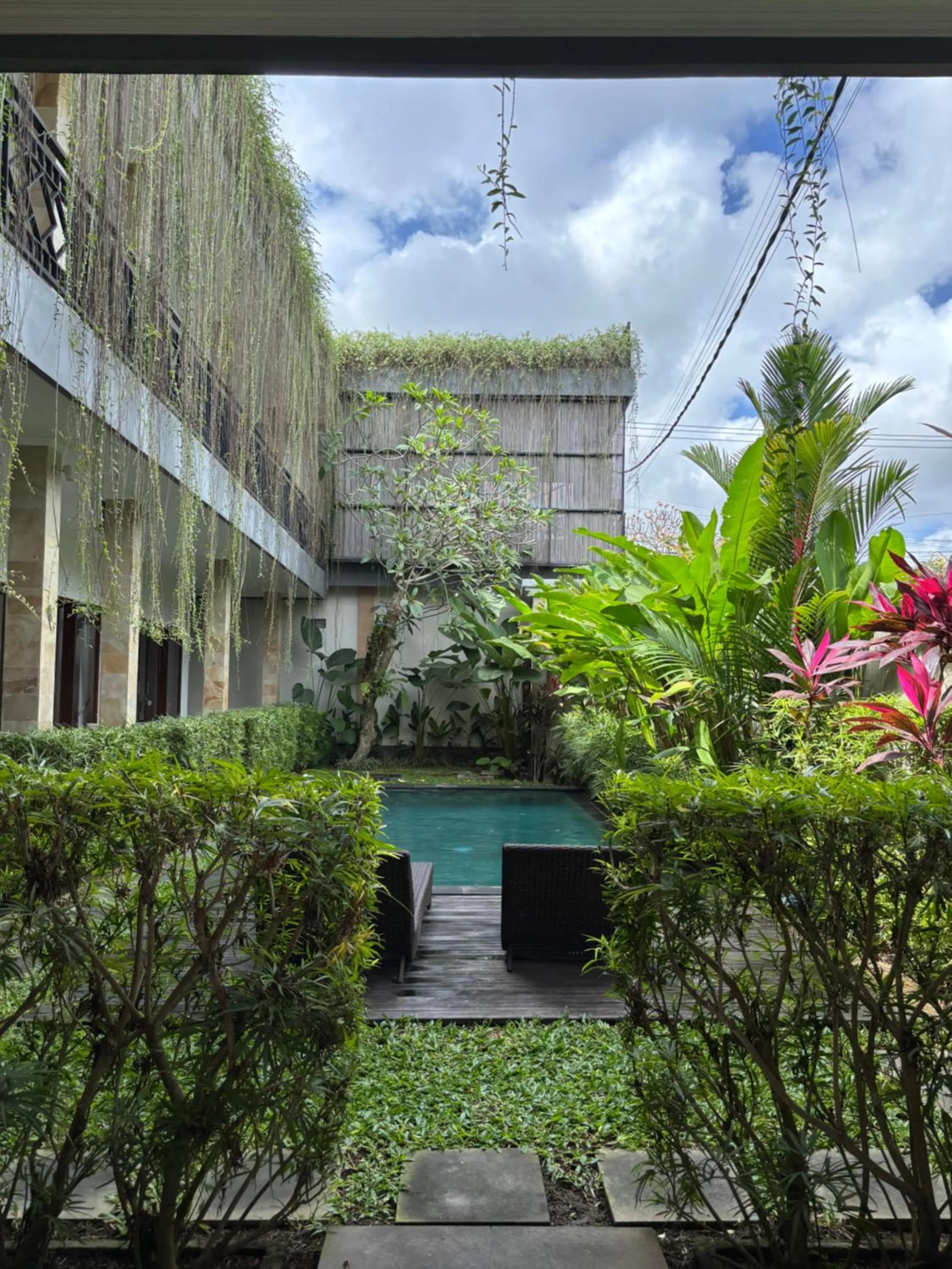 Pool view in D'tegal Guest House- Tropical Courtyard in Canggu