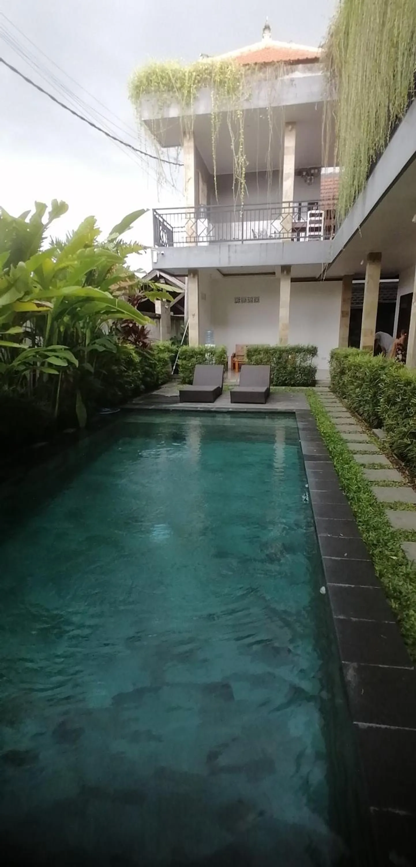 Garden view in D'tegal Guest House- Tropical Courtyard in Canggu