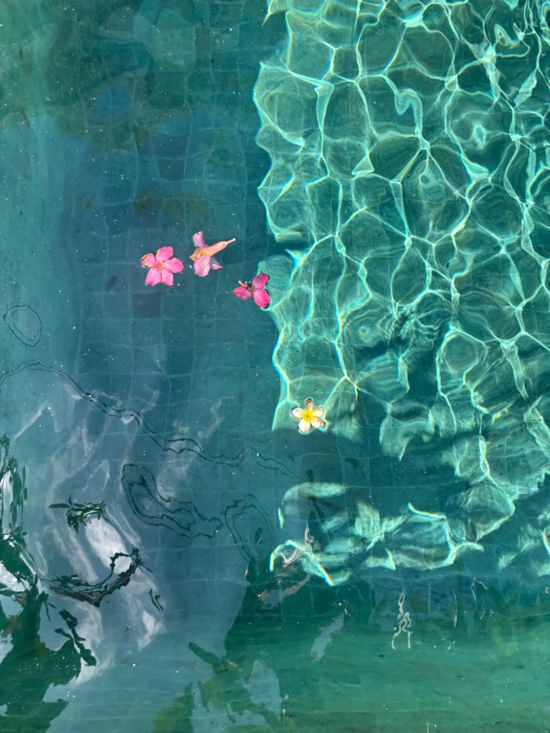 Swimming pool in D'tegal Guest House- Tropical Courtyard in Canggu