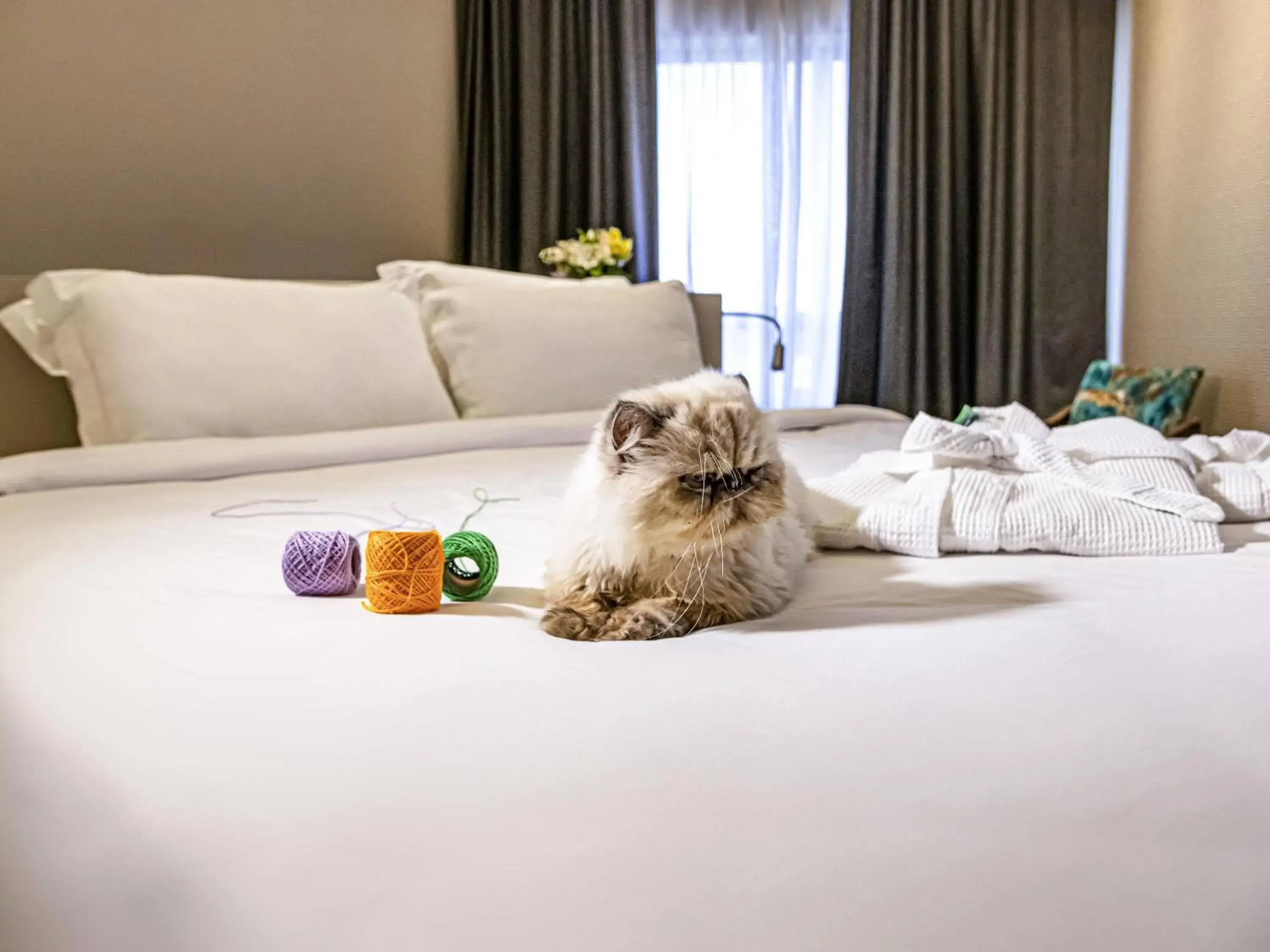 Bedroom, Bed in Mercure Florianópolis Bedroom, Bed in Mercure Florianópolis