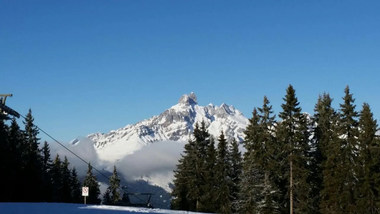 Natural landscape in Ferienwohnungen Vierthaler