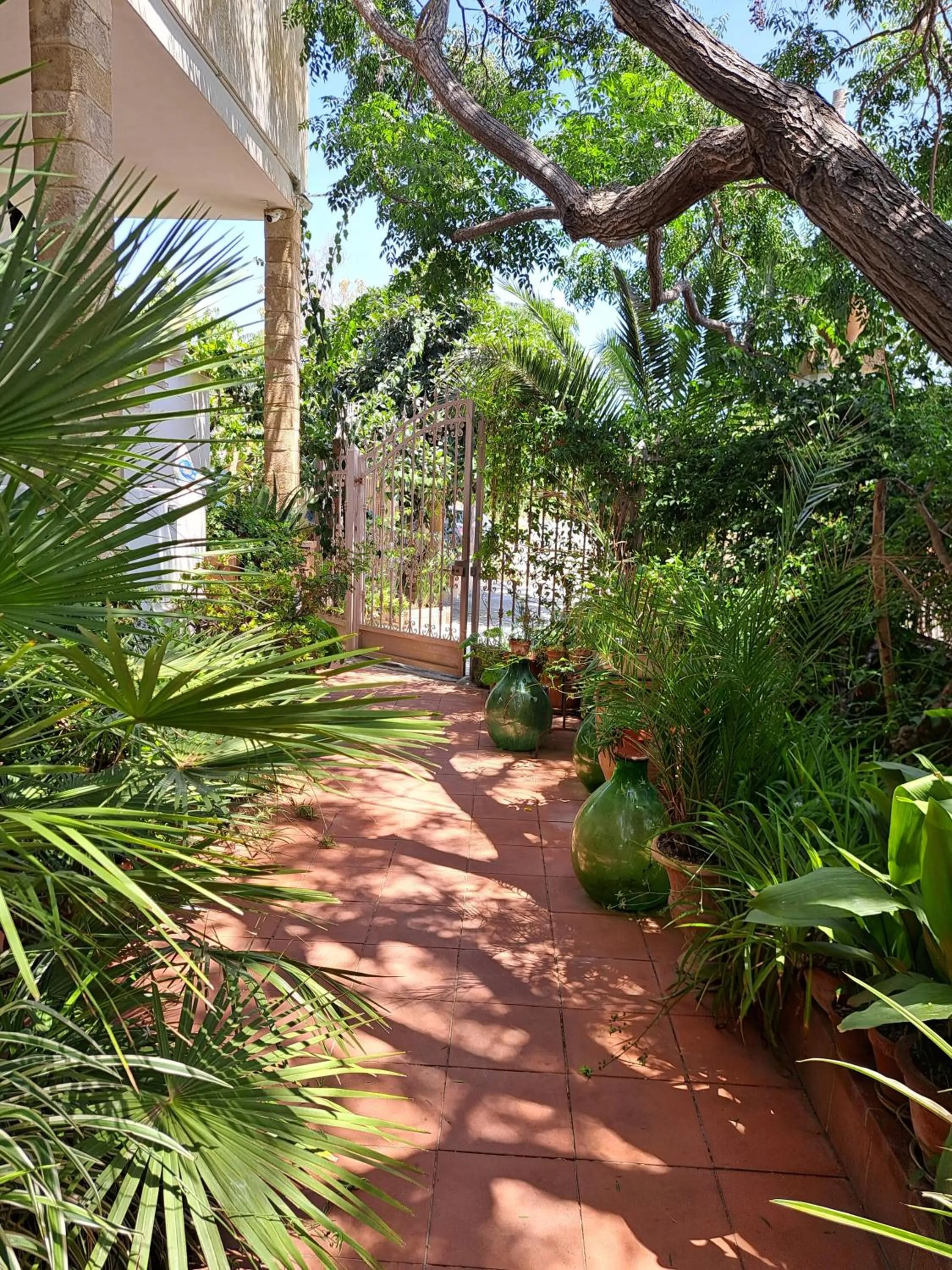 Alchimia tra suoni e colori