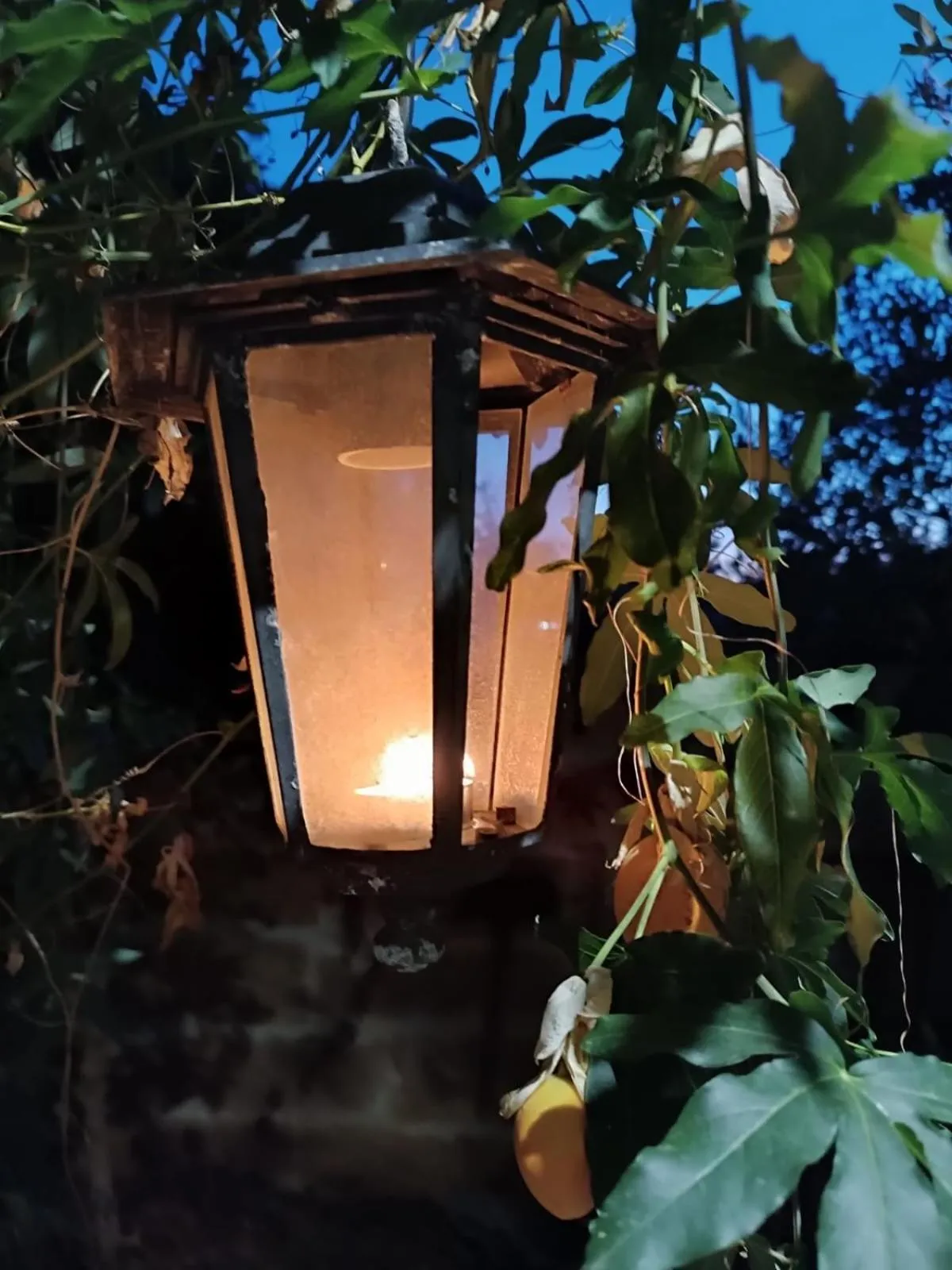 Alchimia tra suoni e colori