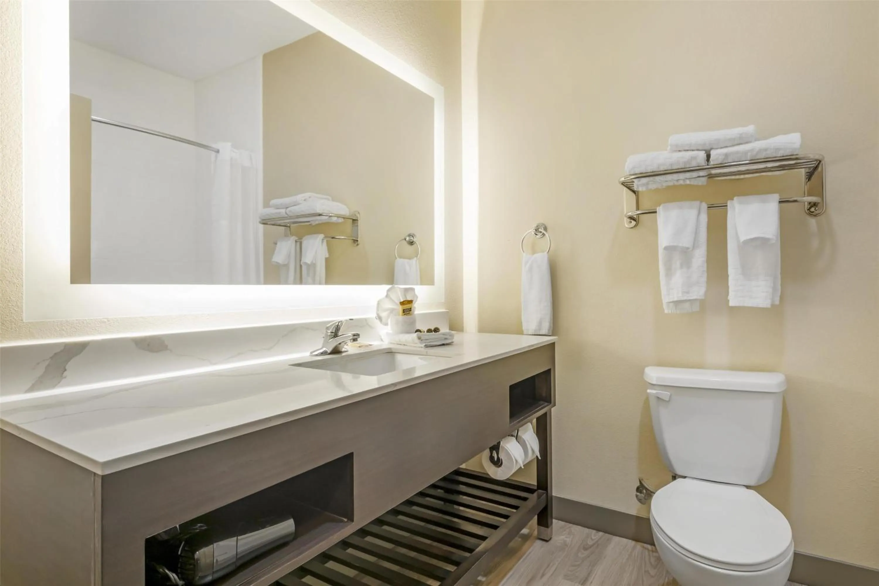 Bathroom in Best Western Plus Monica Royale Inn & Suites