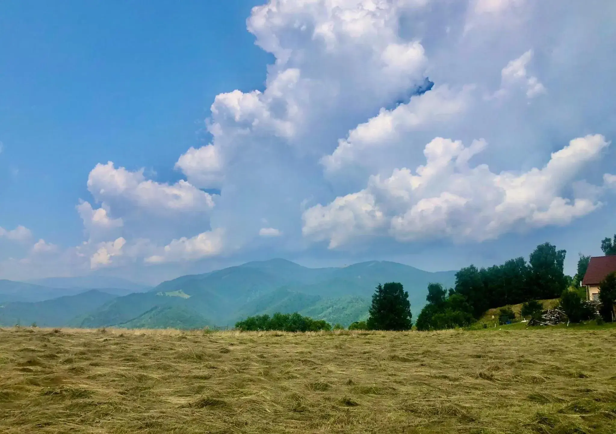 View (from property/room) in Pensiunea Poiana Viselor View (from property/room) in Pensiunea Poiana Viselor