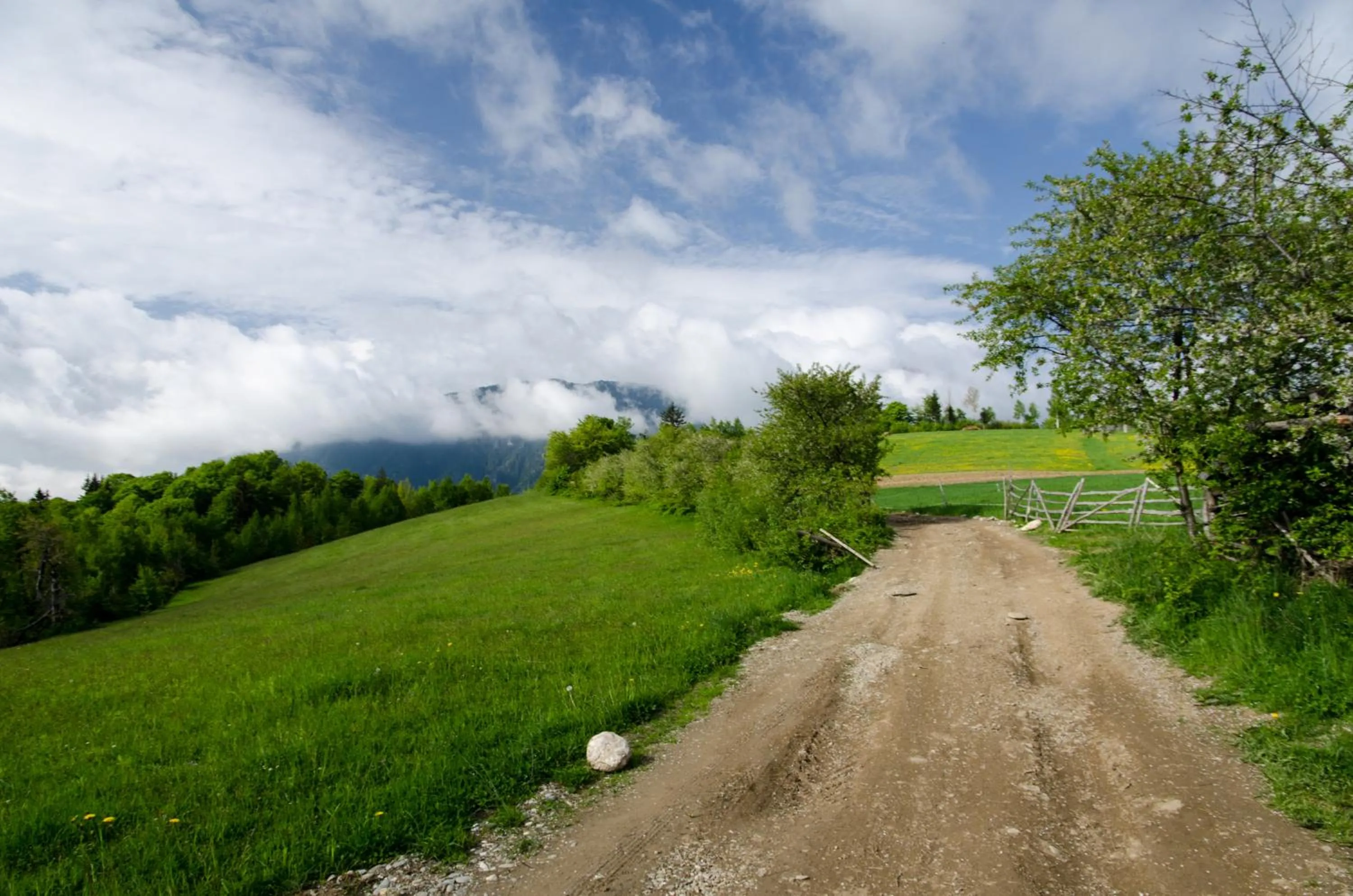Natural landscape in Pensiunea Poiana Viselor