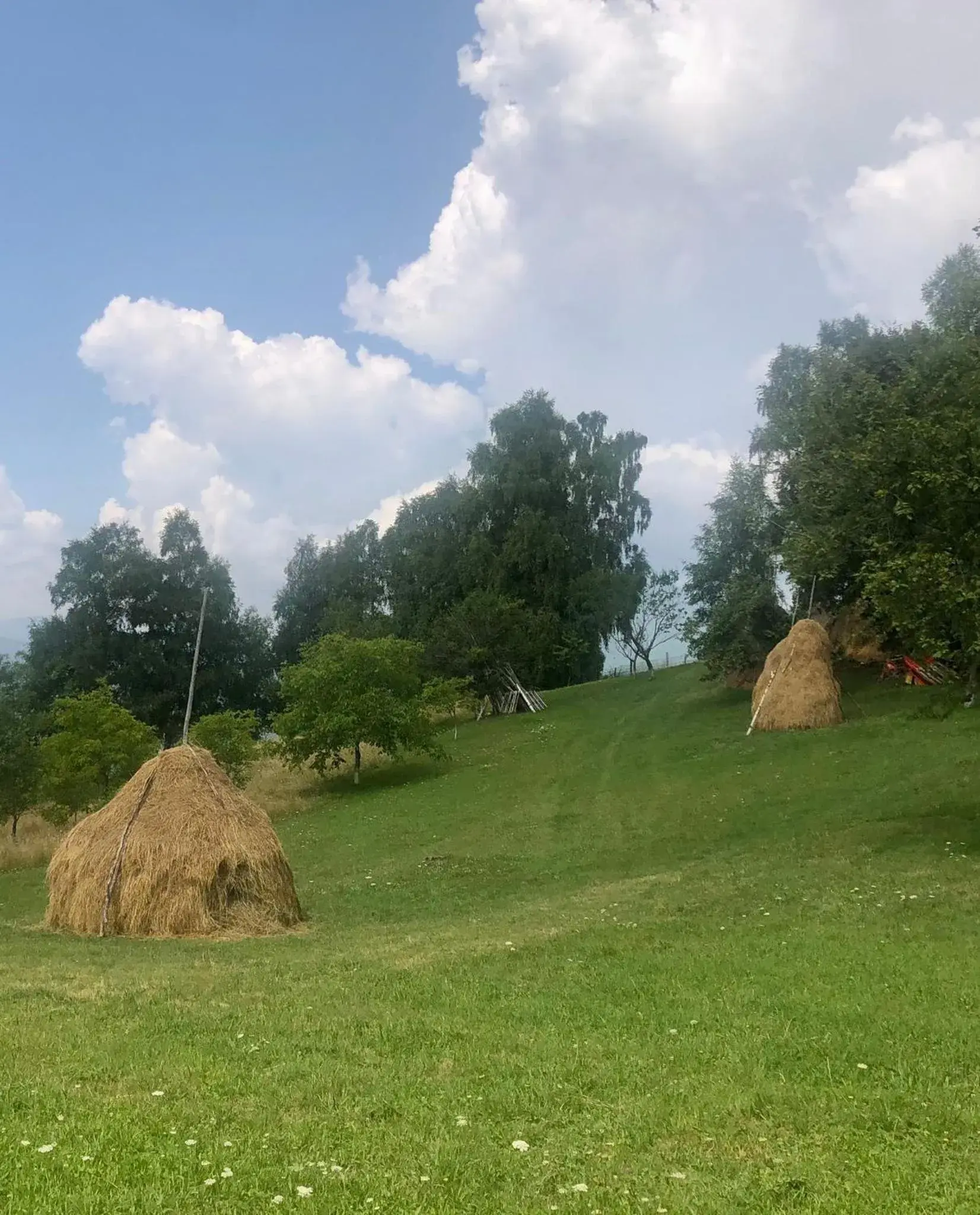 View (from property/room) in Pensiunea Poiana Viselor View (from property/room) in Pensiunea Poiana Viselor