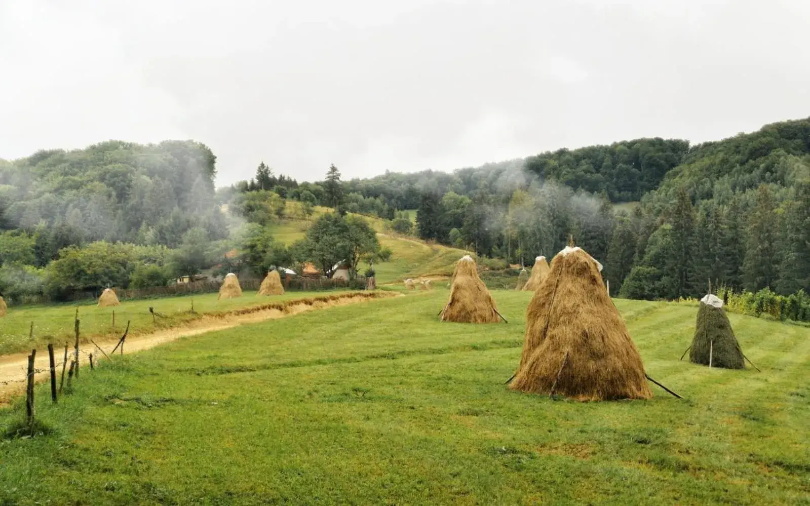 View (from property/room) in Pensiunea Poiana Viselor View (from property/room) in Pensiunea Poiana Viselor