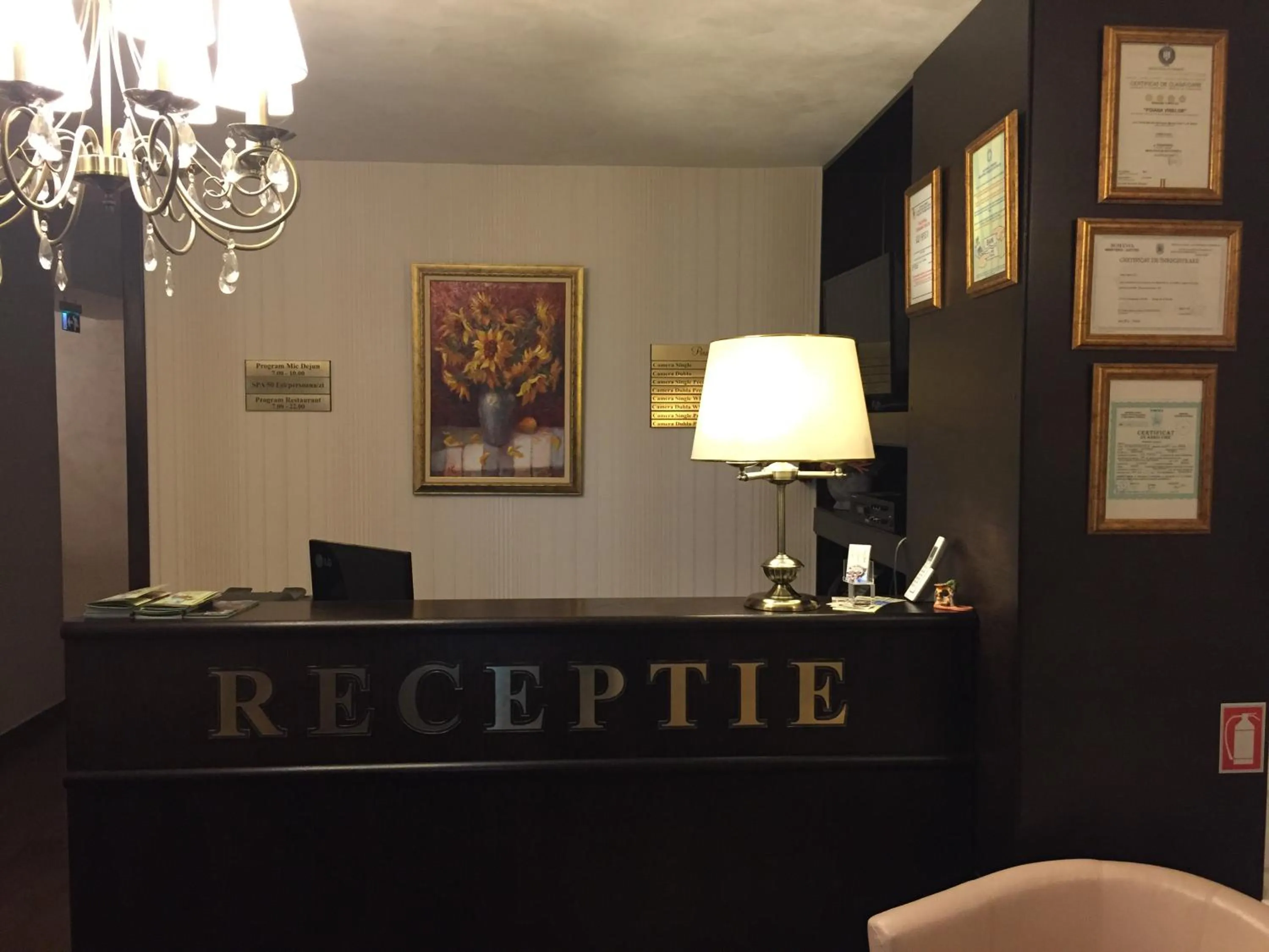 Lobby or reception in Pensiunea Poiana Viselor