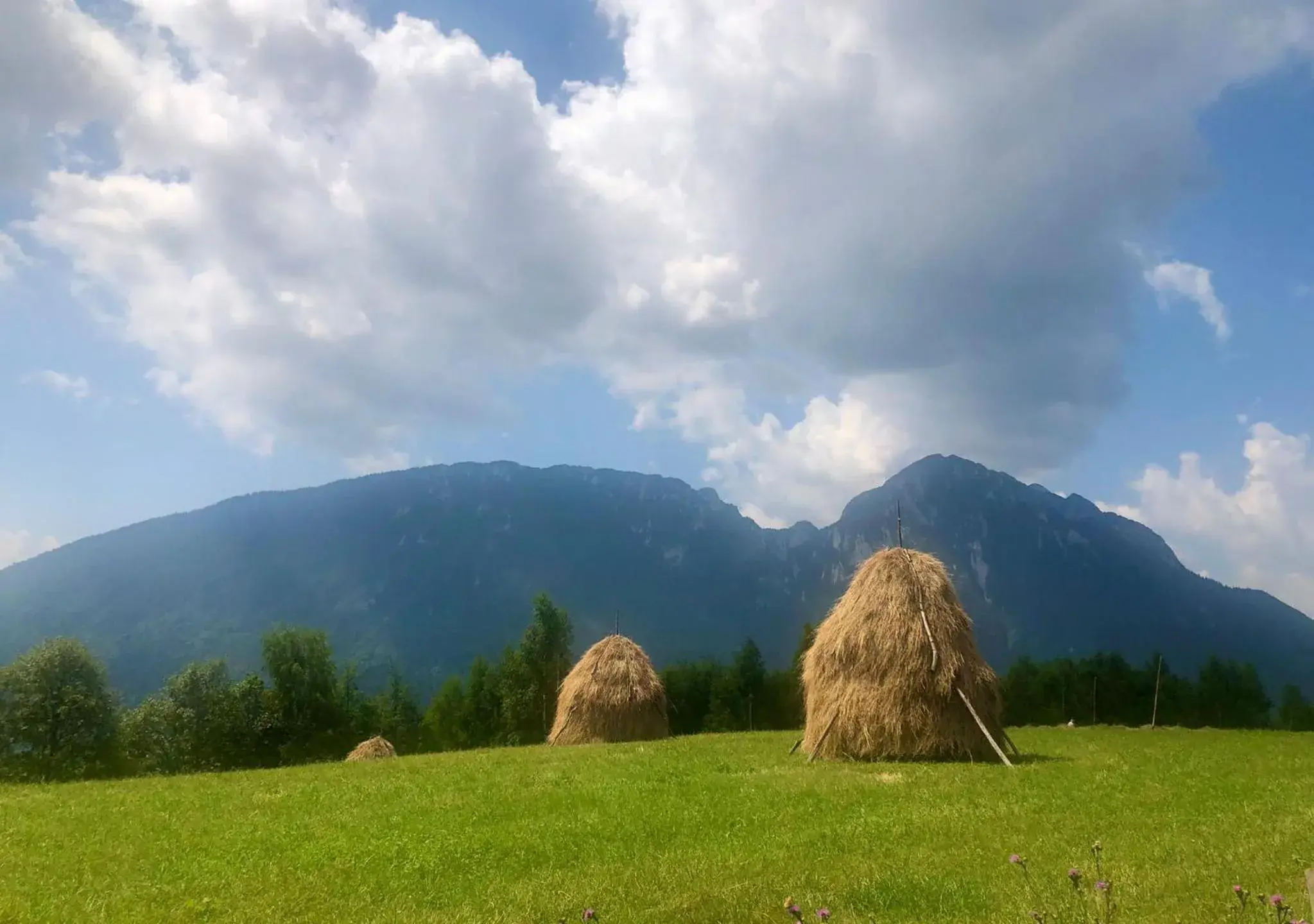 View (from property/room) in Pensiunea Poiana Viselor View (from property/room) in Pensiunea Poiana Viselor
