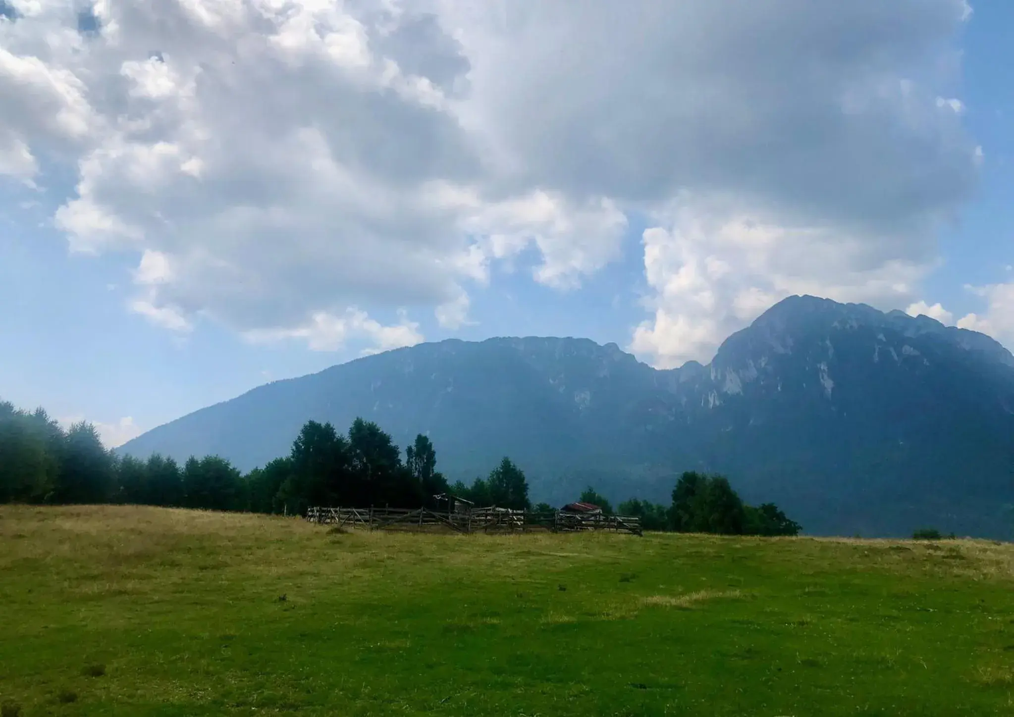 View (from property/room) in Pensiunea Poiana Viselor View (from property/room) in Pensiunea Poiana Viselor