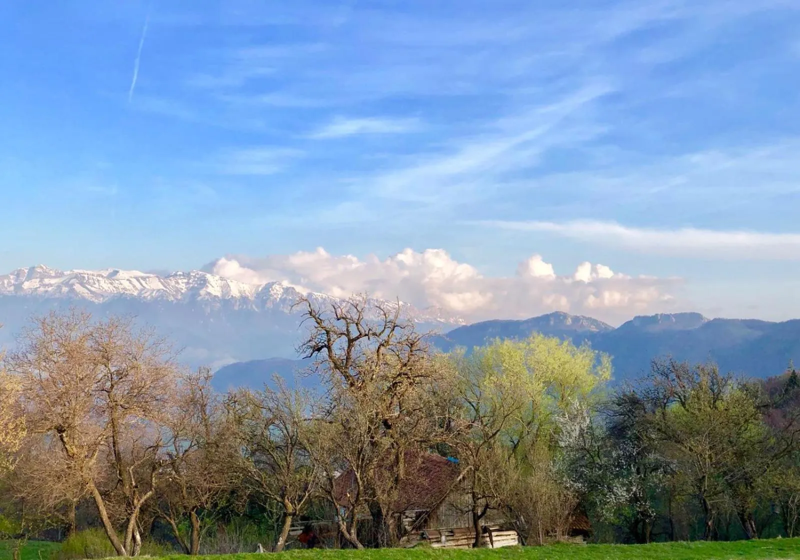 View (from property/room) in Pensiunea Poiana Viselor