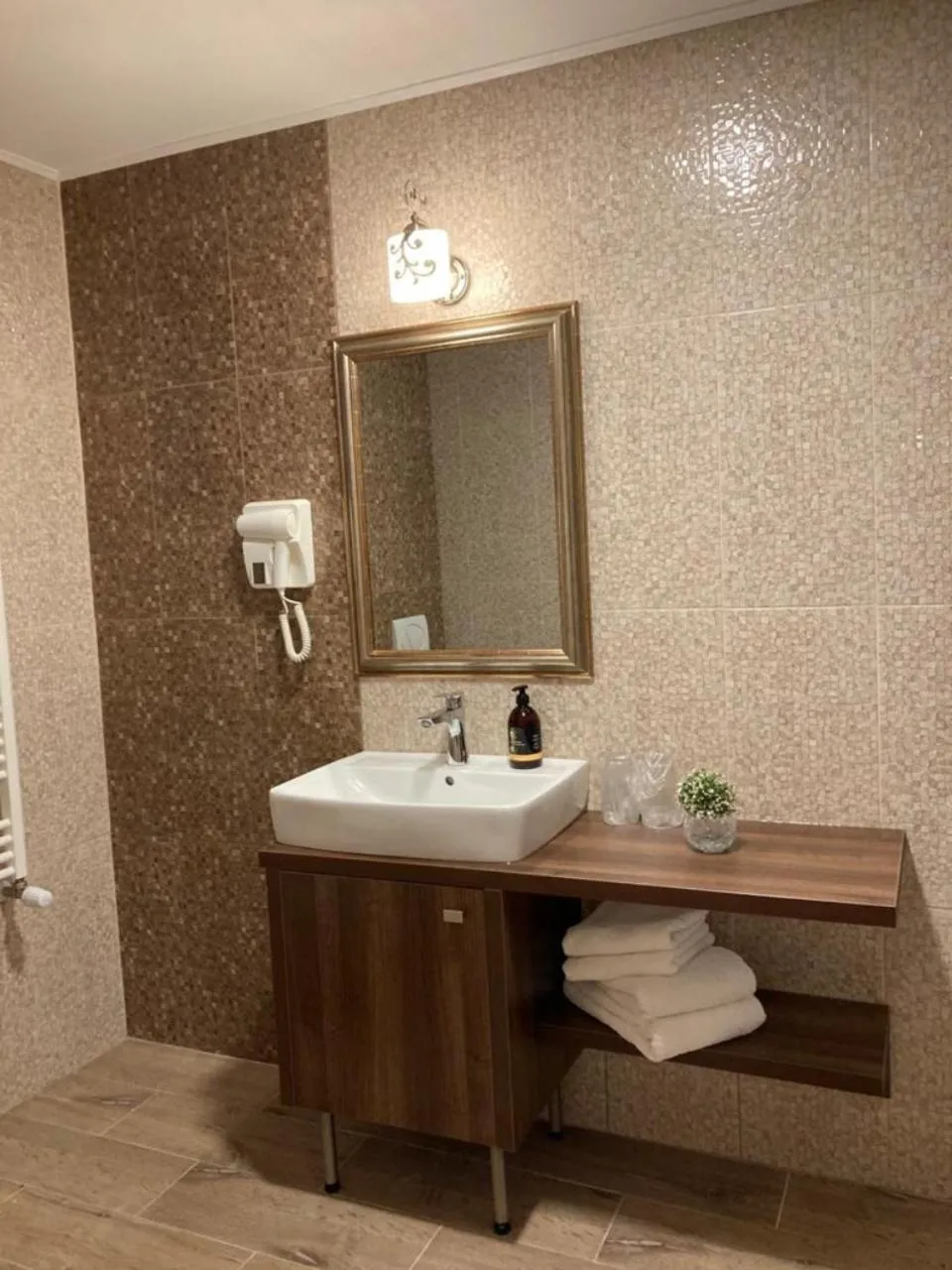 Bathroom in Pensiunea Poiana Viselor