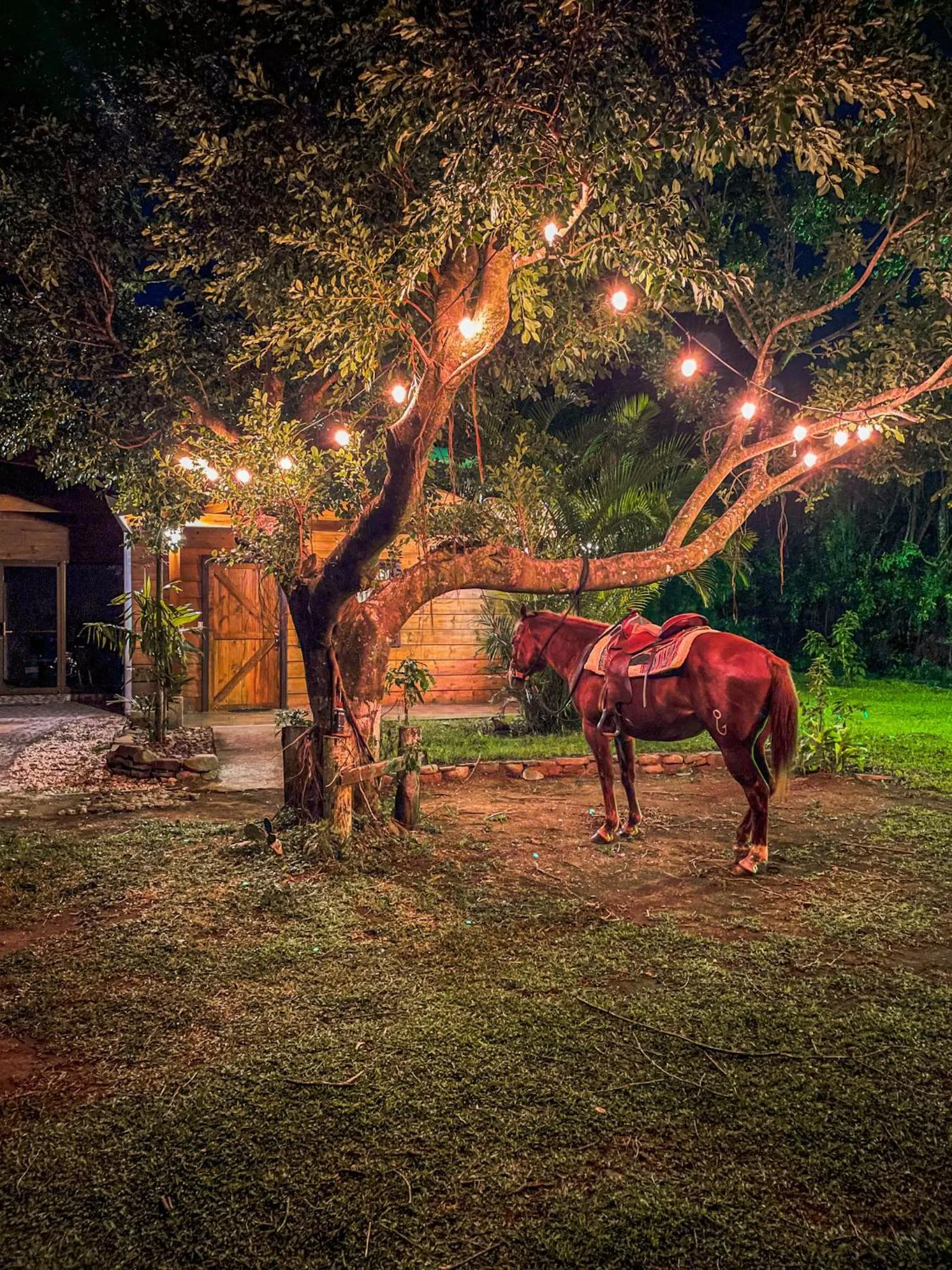 Night in Tierra Buena Countryside Hotel