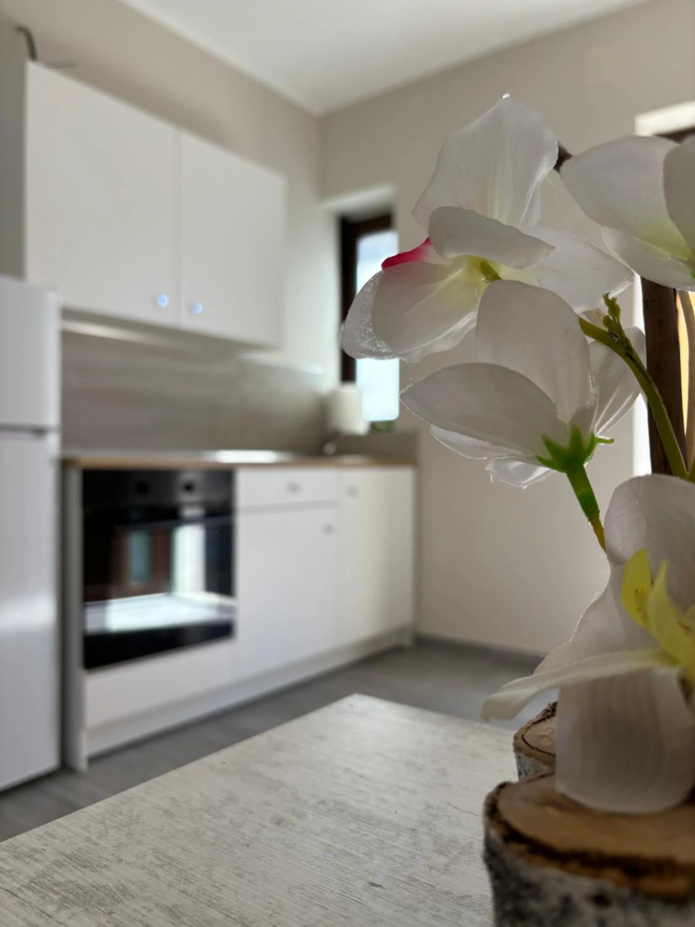 Borgo Albergo Vulturis