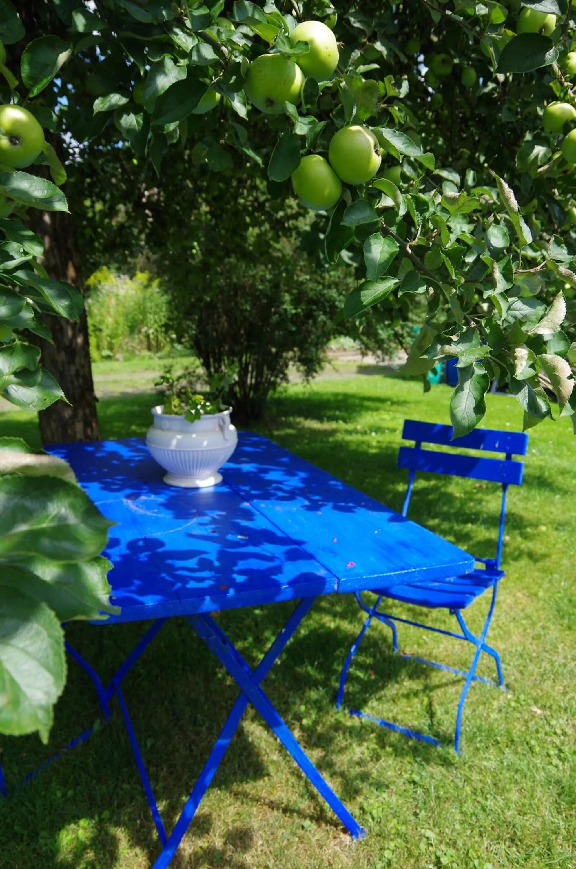Garden in Appartement Fleischmann
