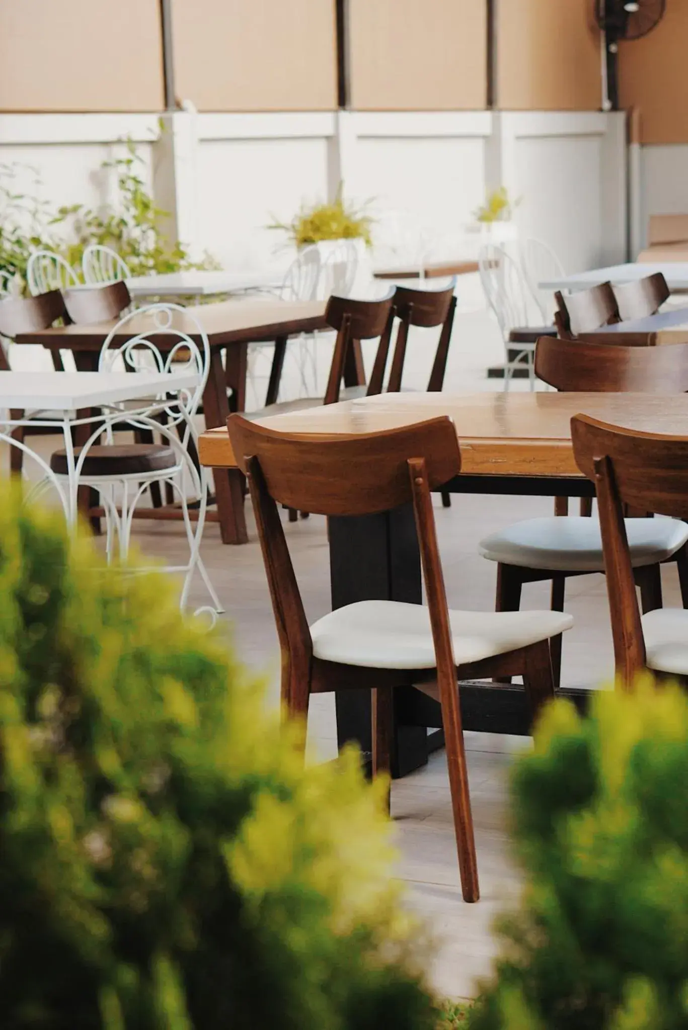 Swimming pool in Peppery Hills Swimming pool in Peppery Hills