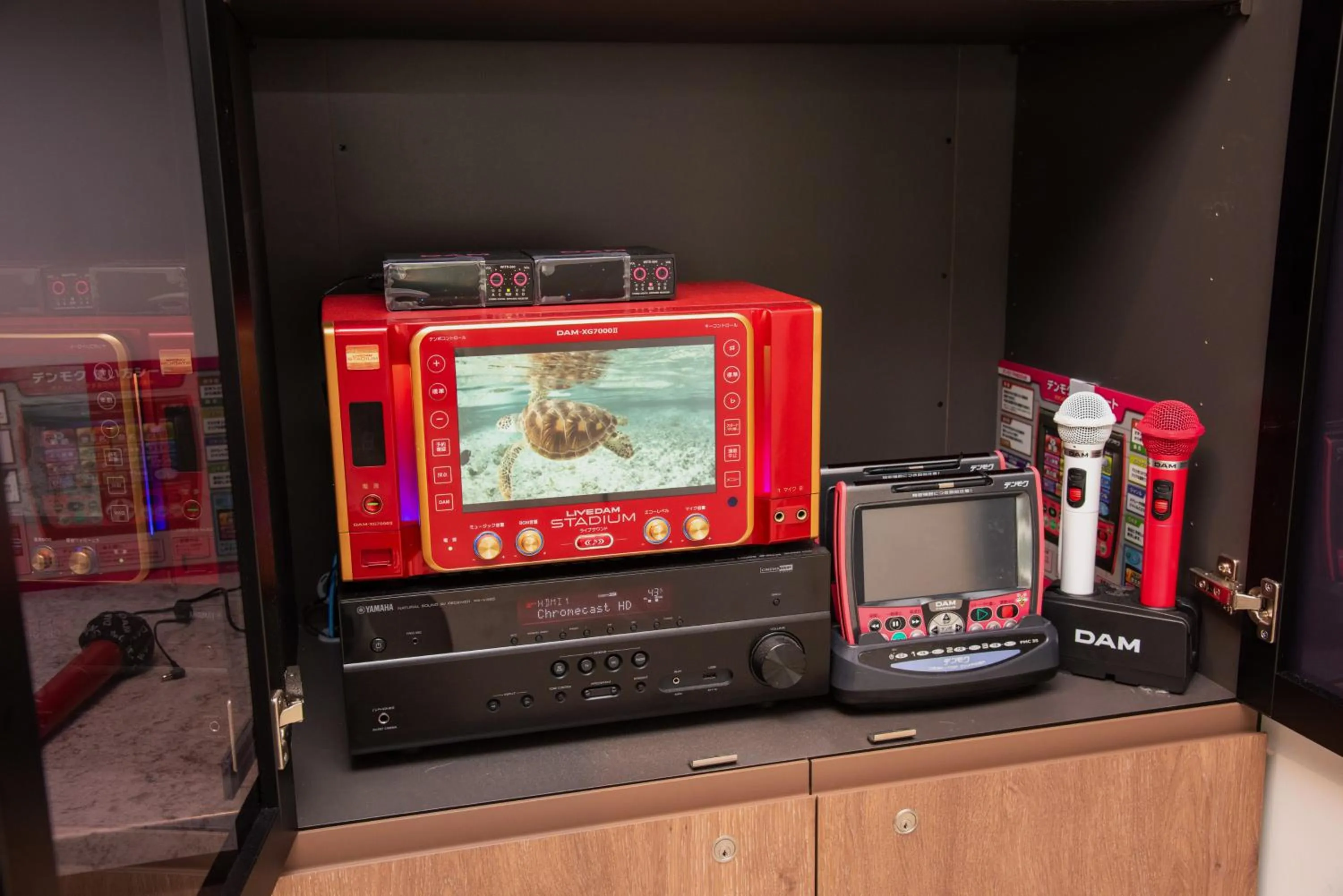 Karaoke in pool villa Sanrriott Okinawa Motobu