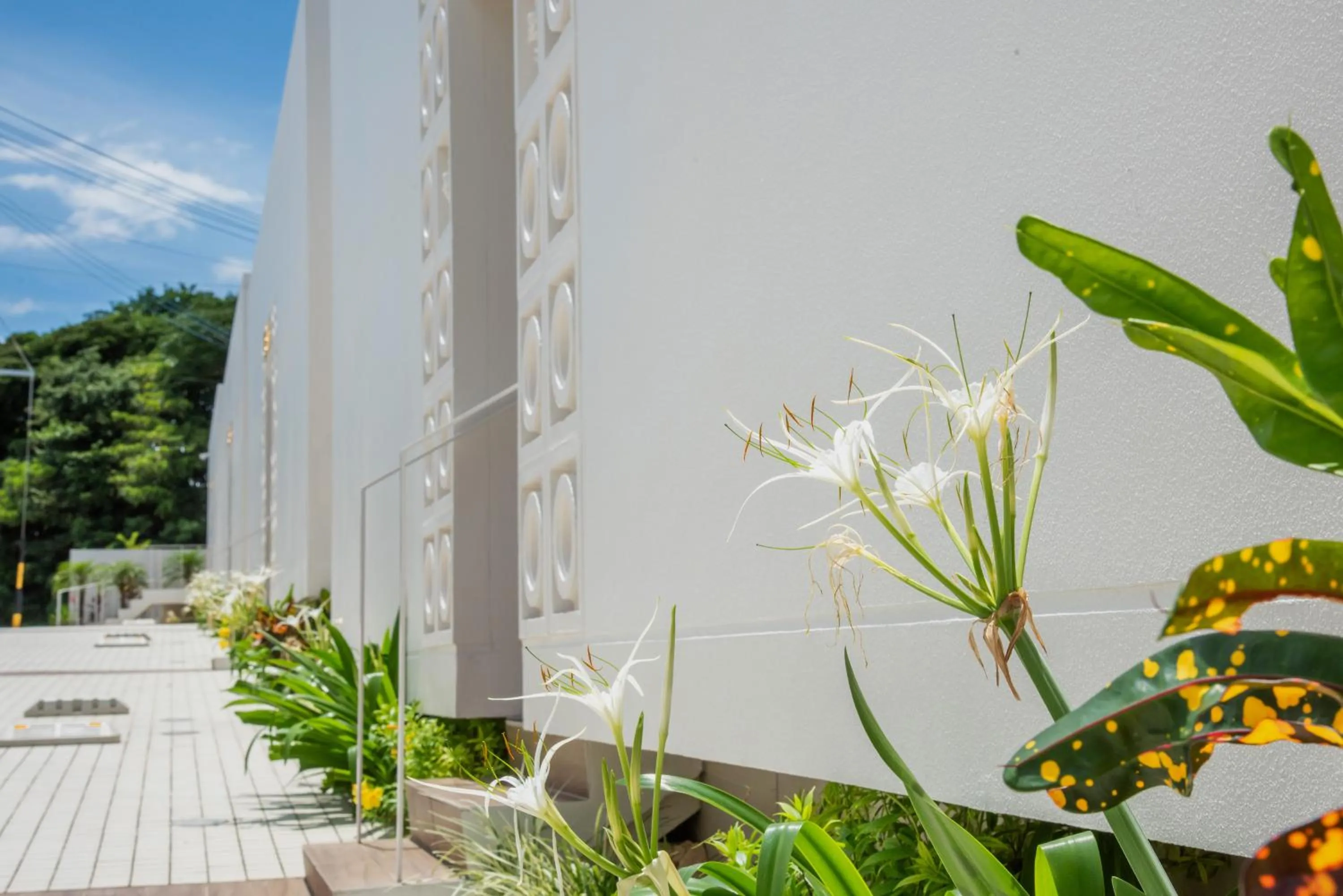 Property building in pool villa Sanrriott Okinawa Motobu