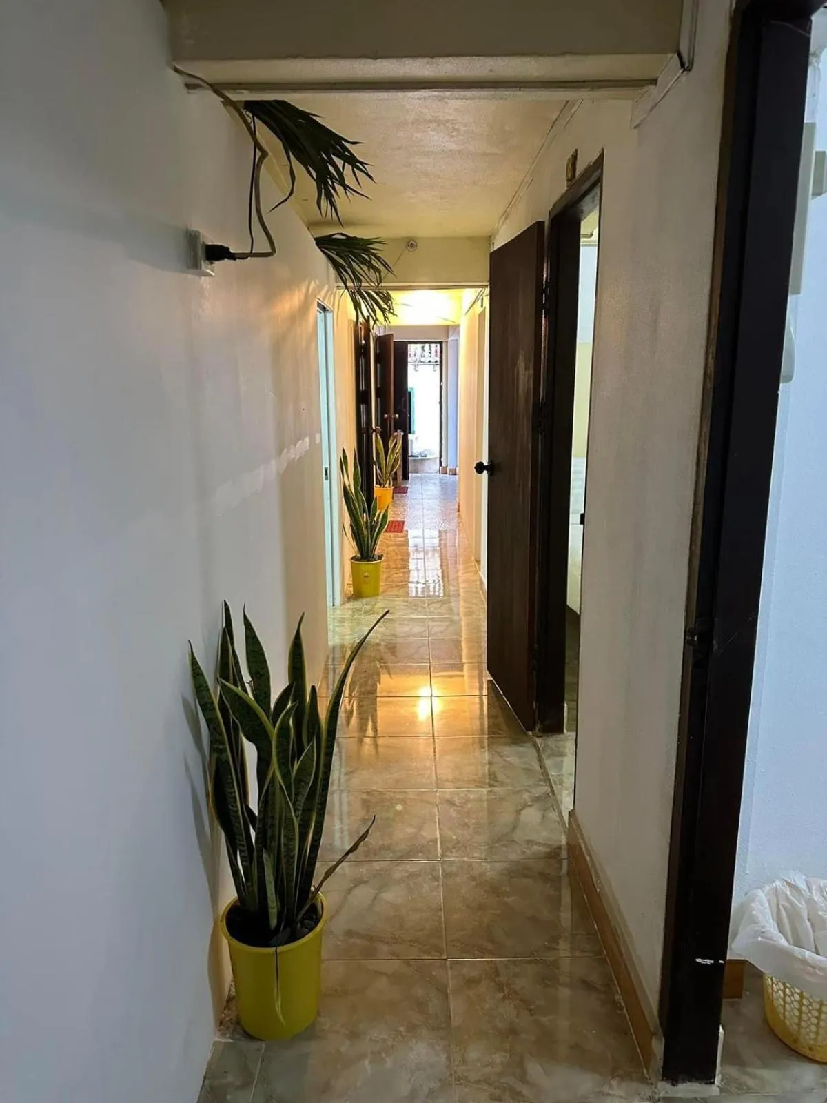 Property building in Tingkham Guesthouse