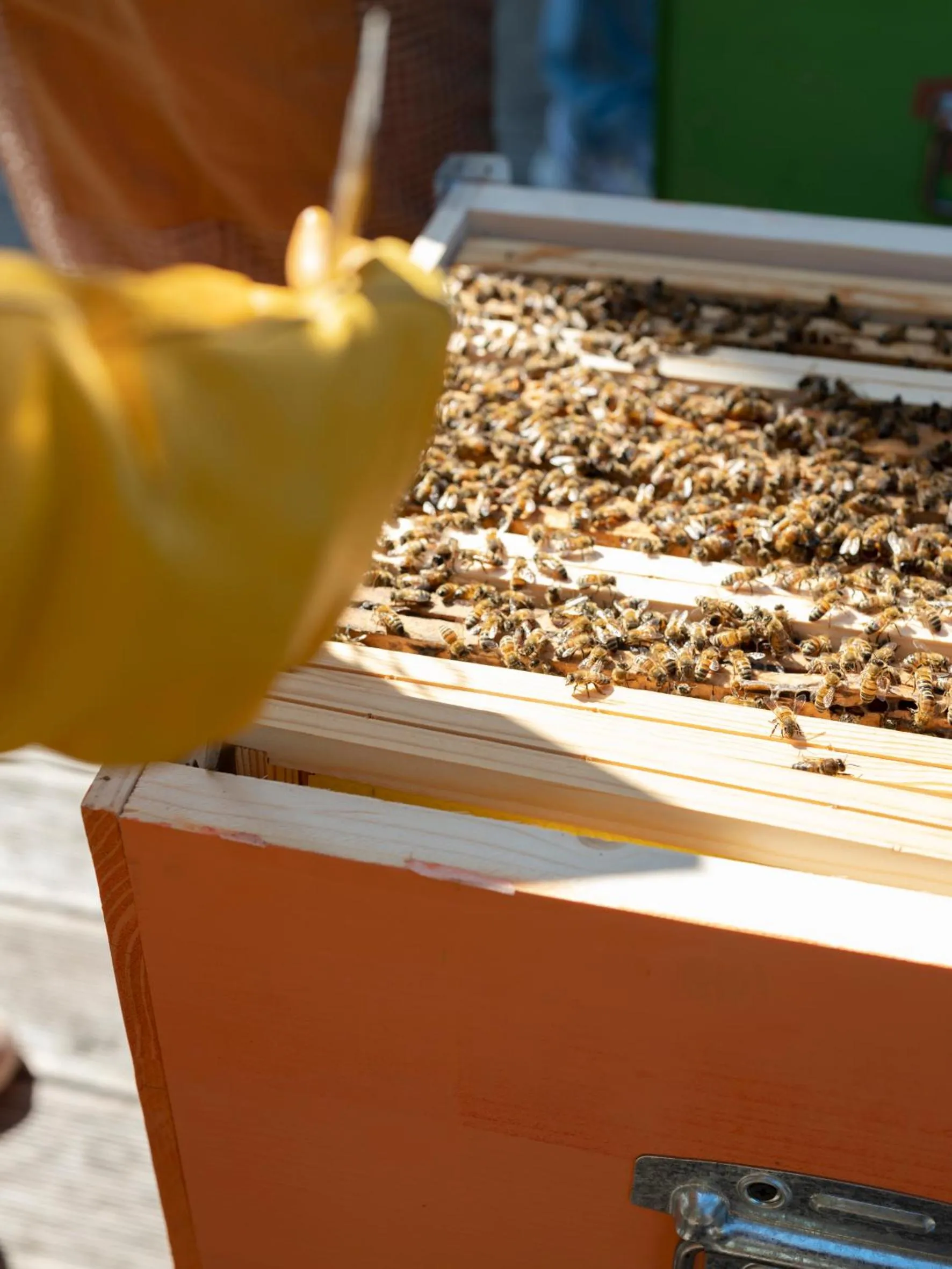 Activities in Imago Plus Hotel