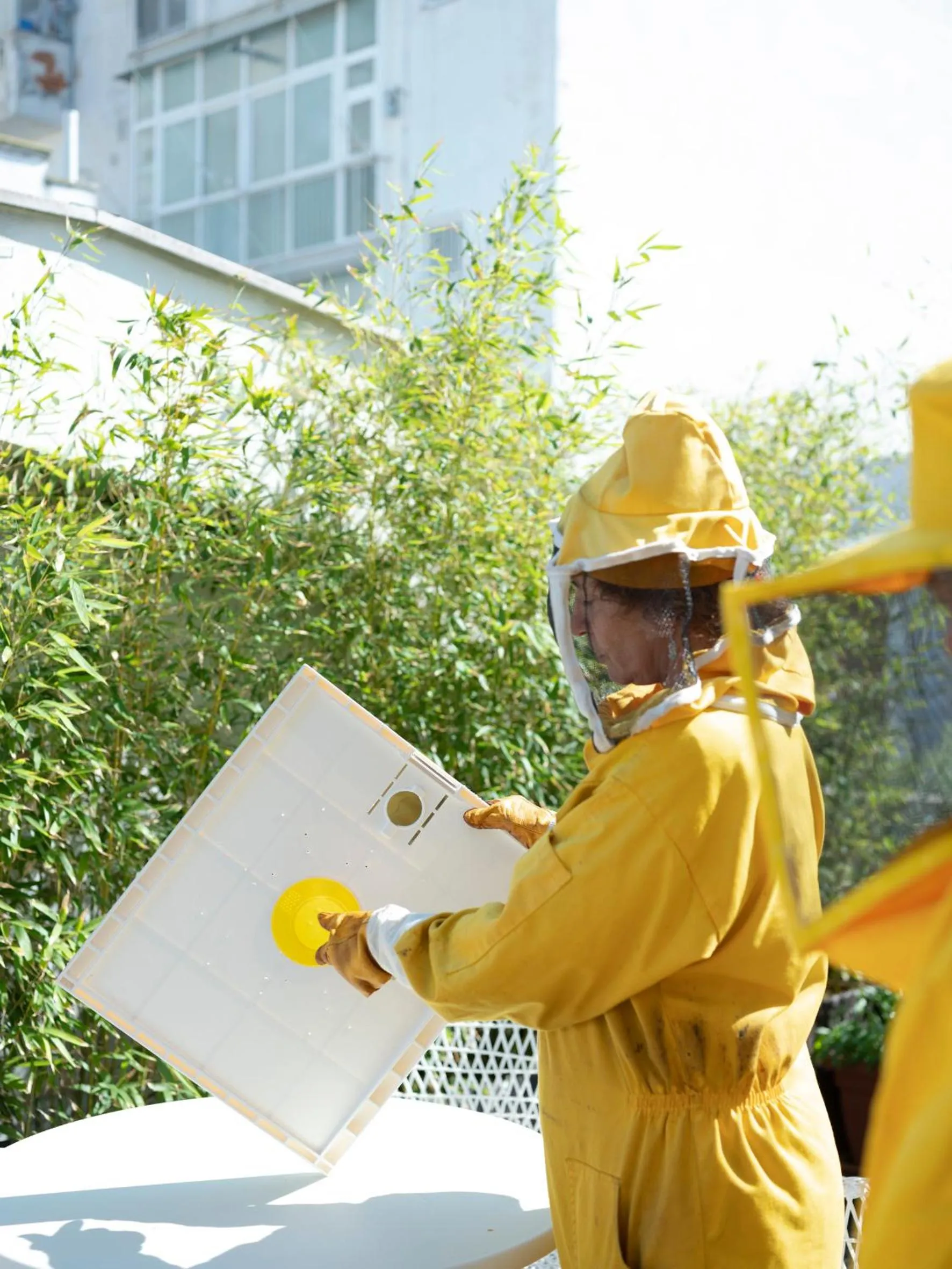 Activities in Imago Plus Hotel