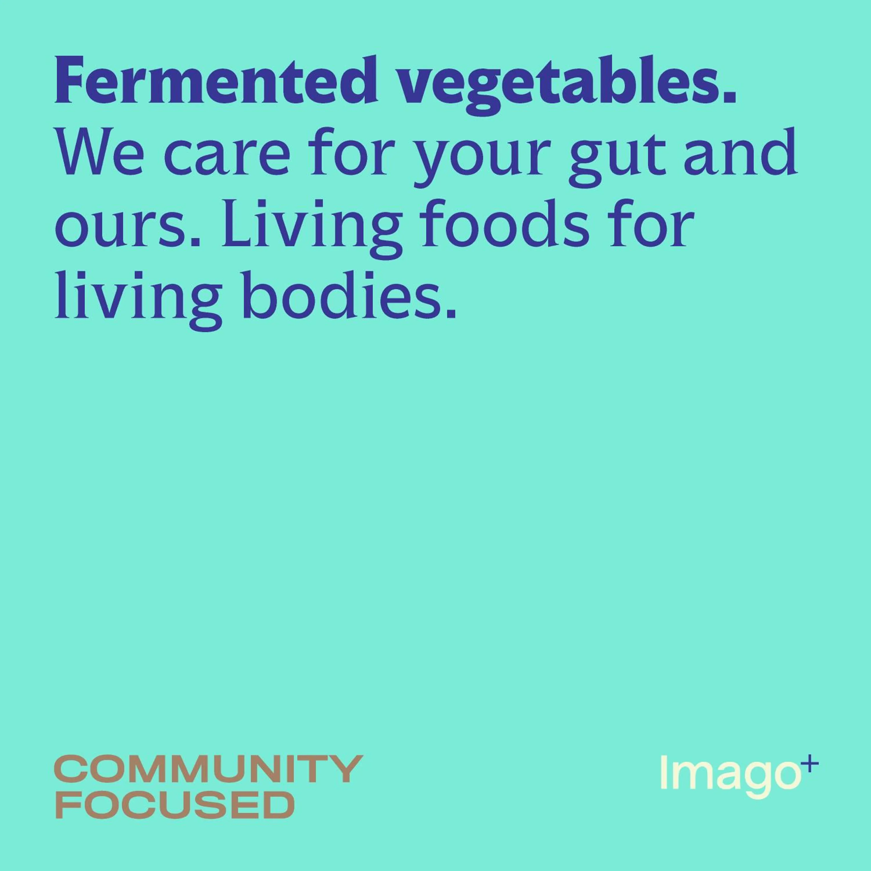 Staff in Imago Plus Hotel