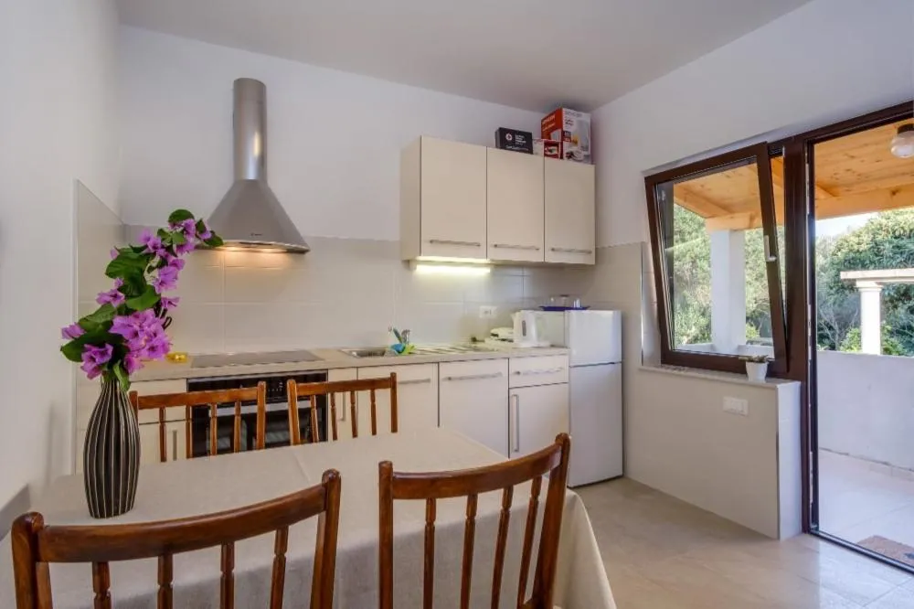 Kitchen or kitchenette in Apartments Josipa