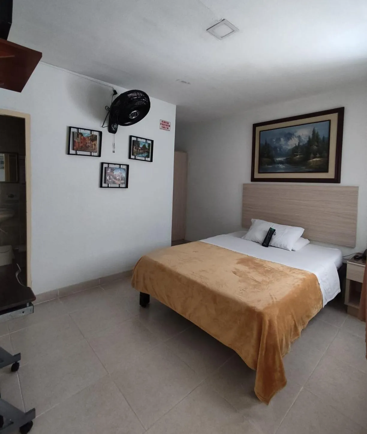 Hotel Mirador Plaza
