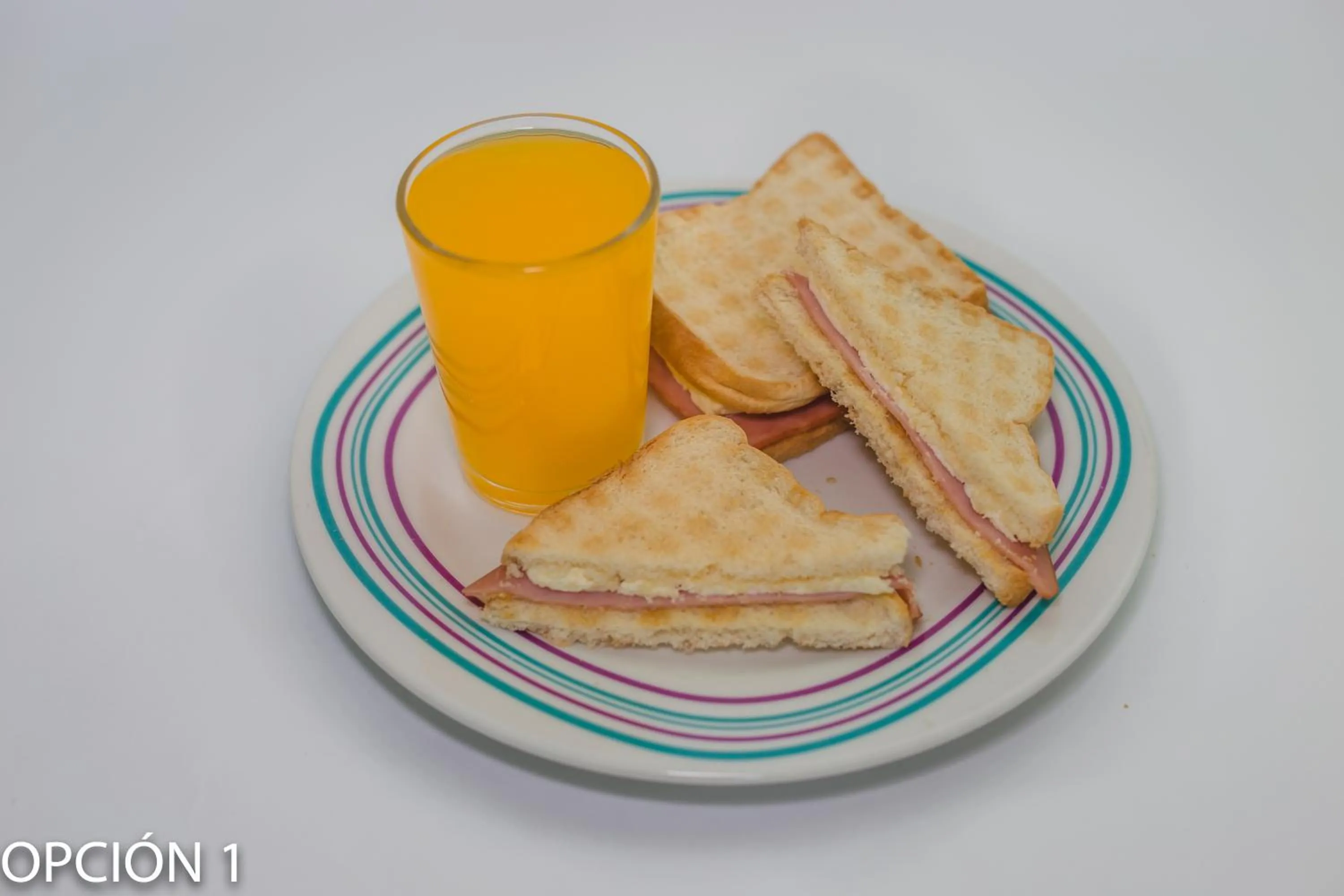 Food close-up in Hotel Mirador Plaza