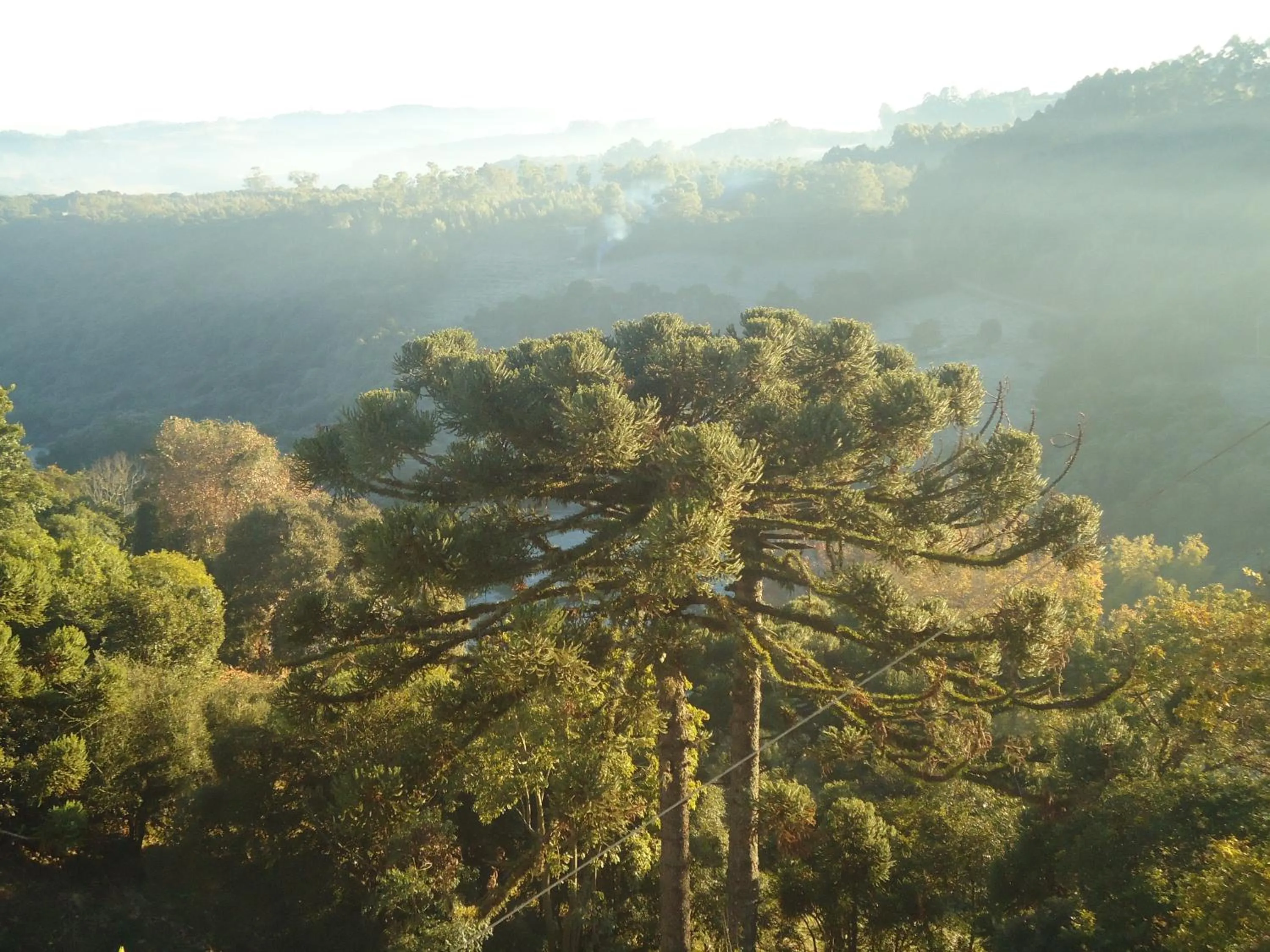 Mountain view in Hotel Bemtevi