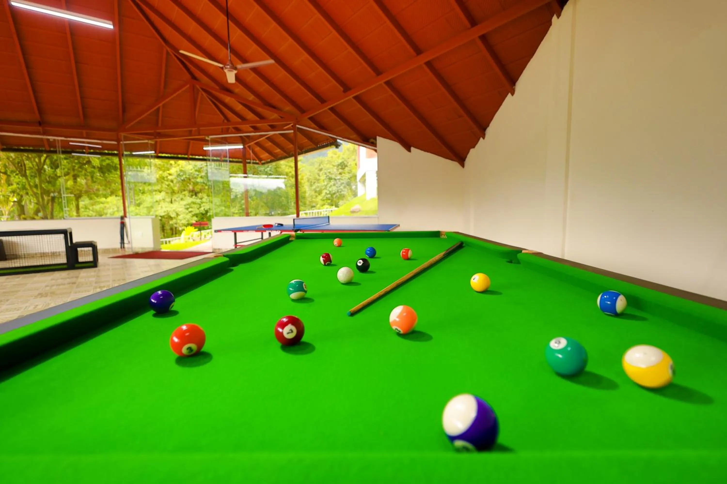 Game Room in Silent Brook Resort - Coorg