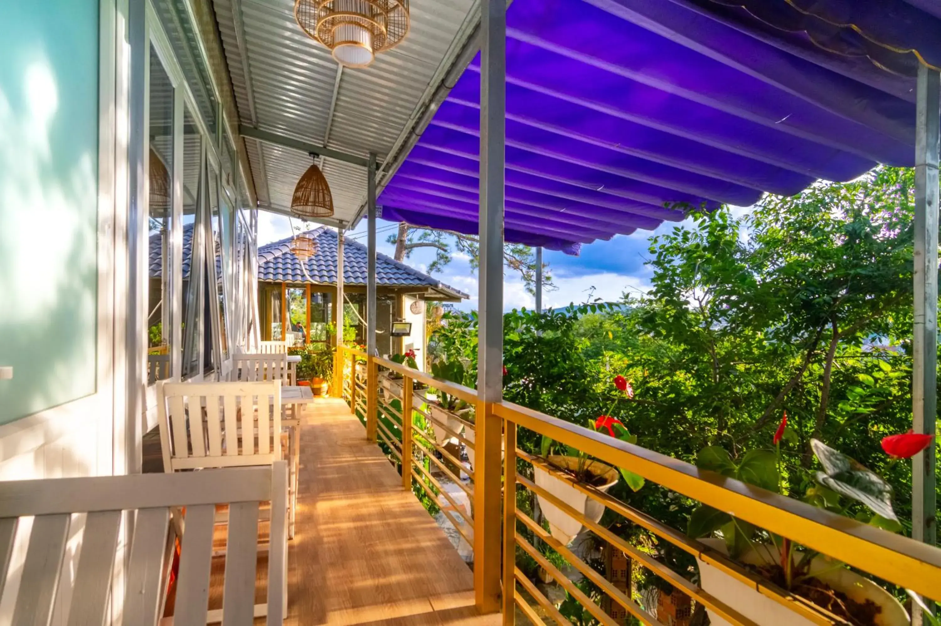 Robins Guesthouse Robins Guesthouse