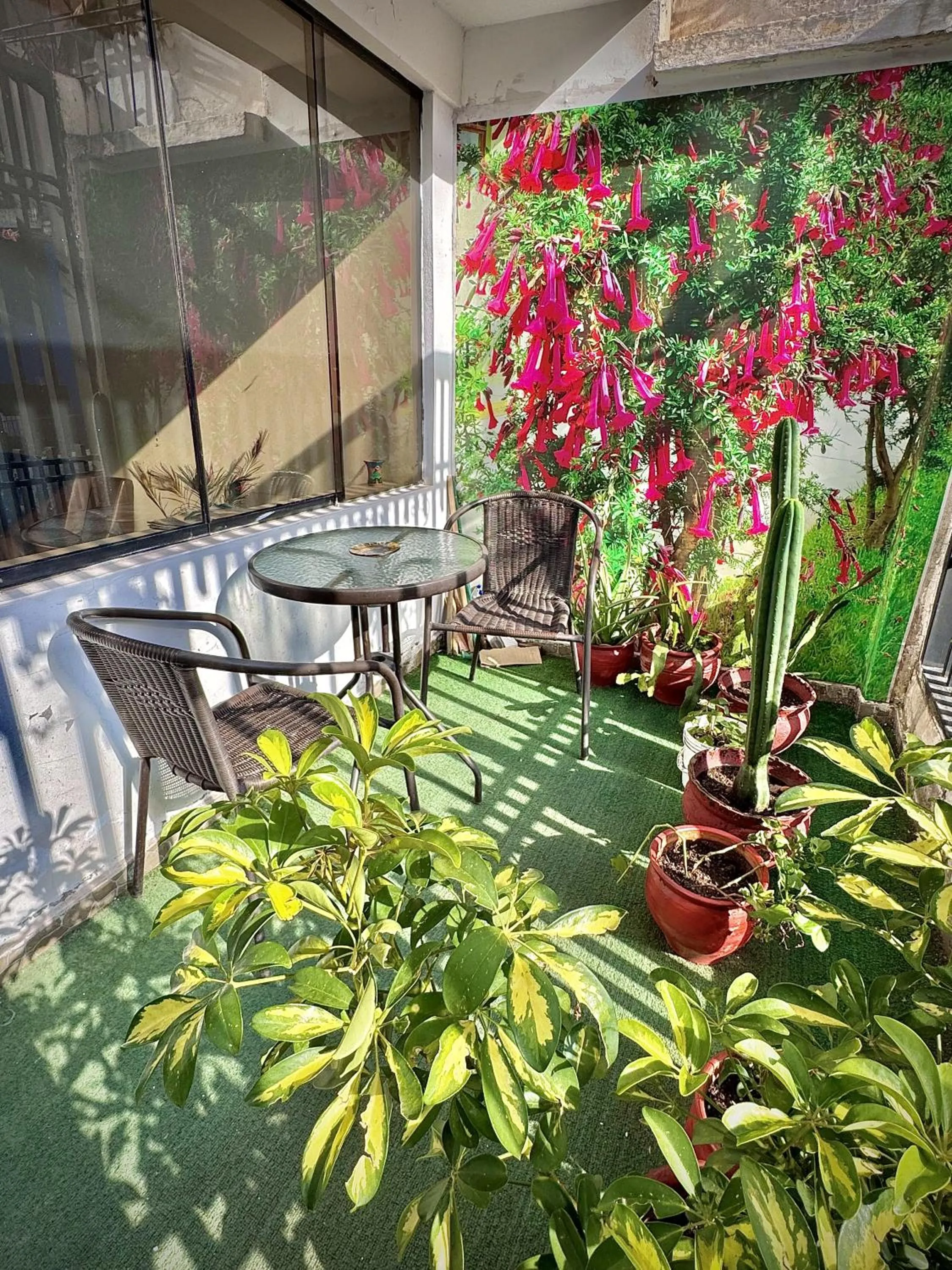 Restaurant/places to eat in Apu Wasi
