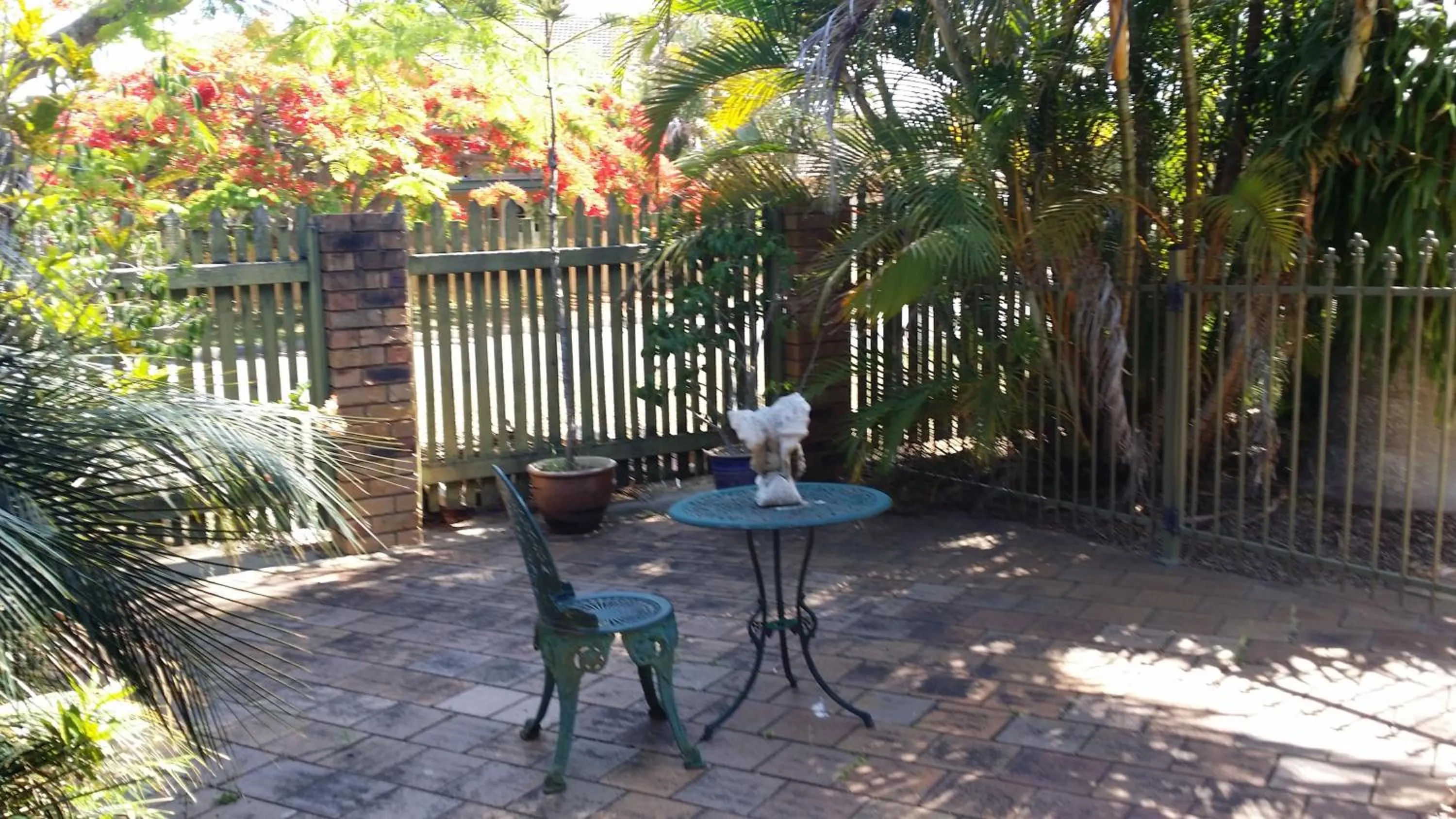 Balcony/Terrace in Baringa Bed & Breakfast