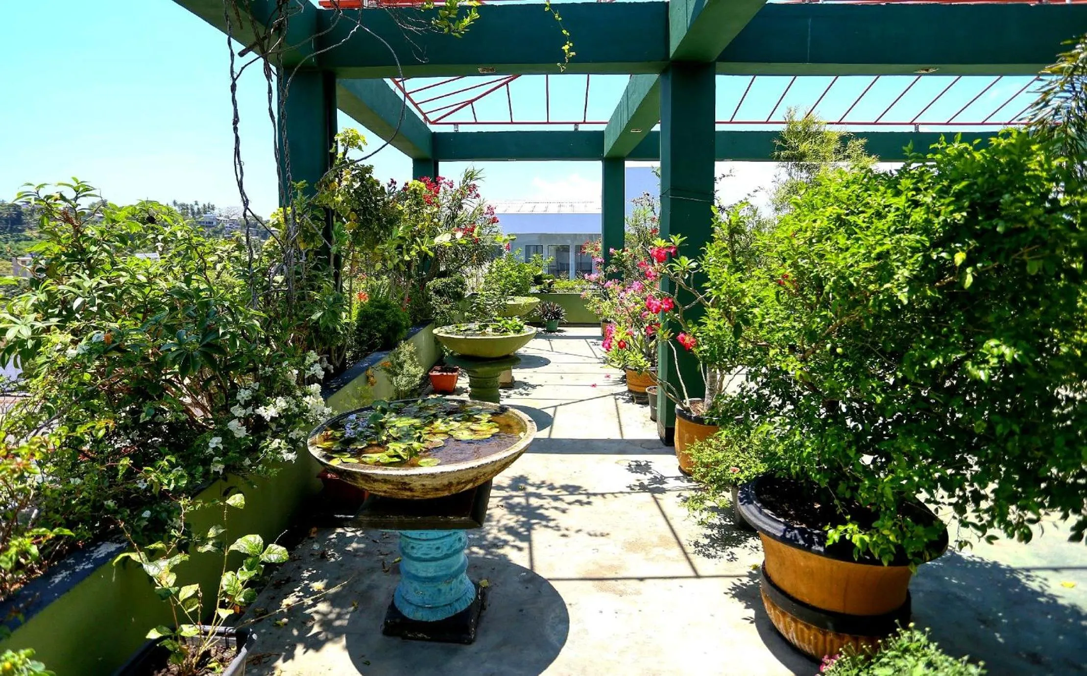 Garden in Hotel Sea Line
