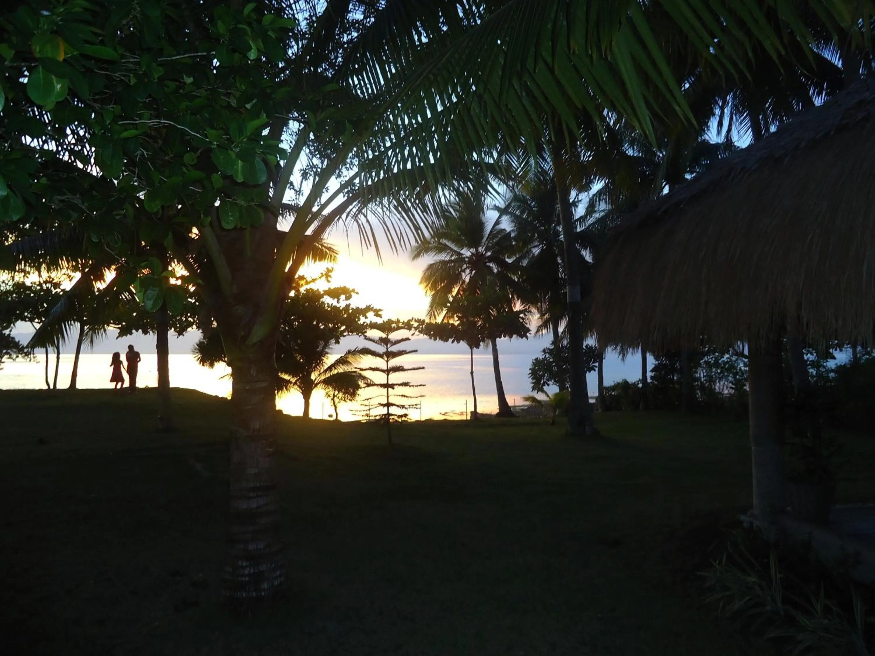 Garden in DACOZY Beach Resort
