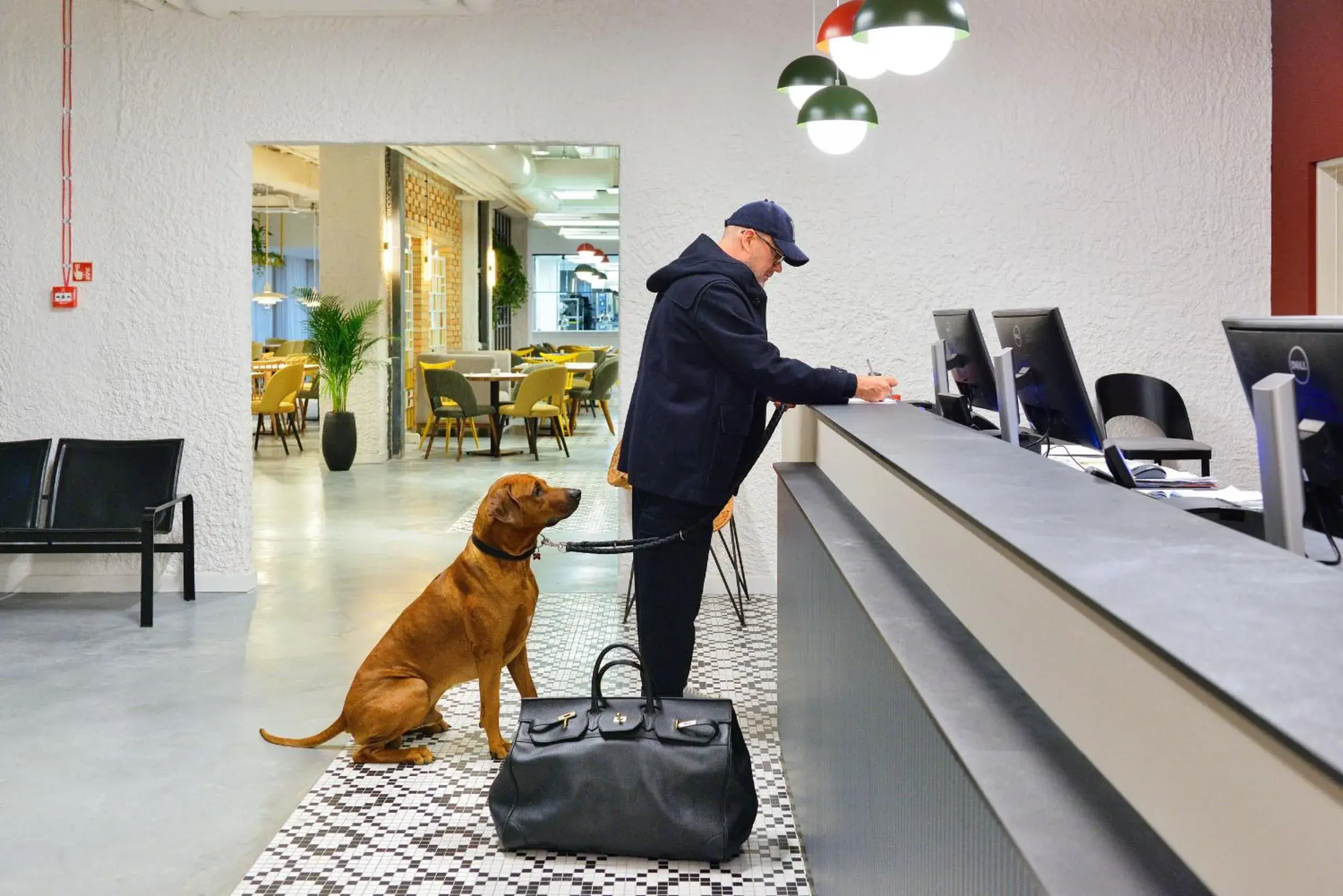 Lobby or reception in Arche Nałęczów & SPA dawne Sanatorium Milicyjne Lobby or reception in Arche Nałęczów & SPA dawne Sanatorium Milicyjne