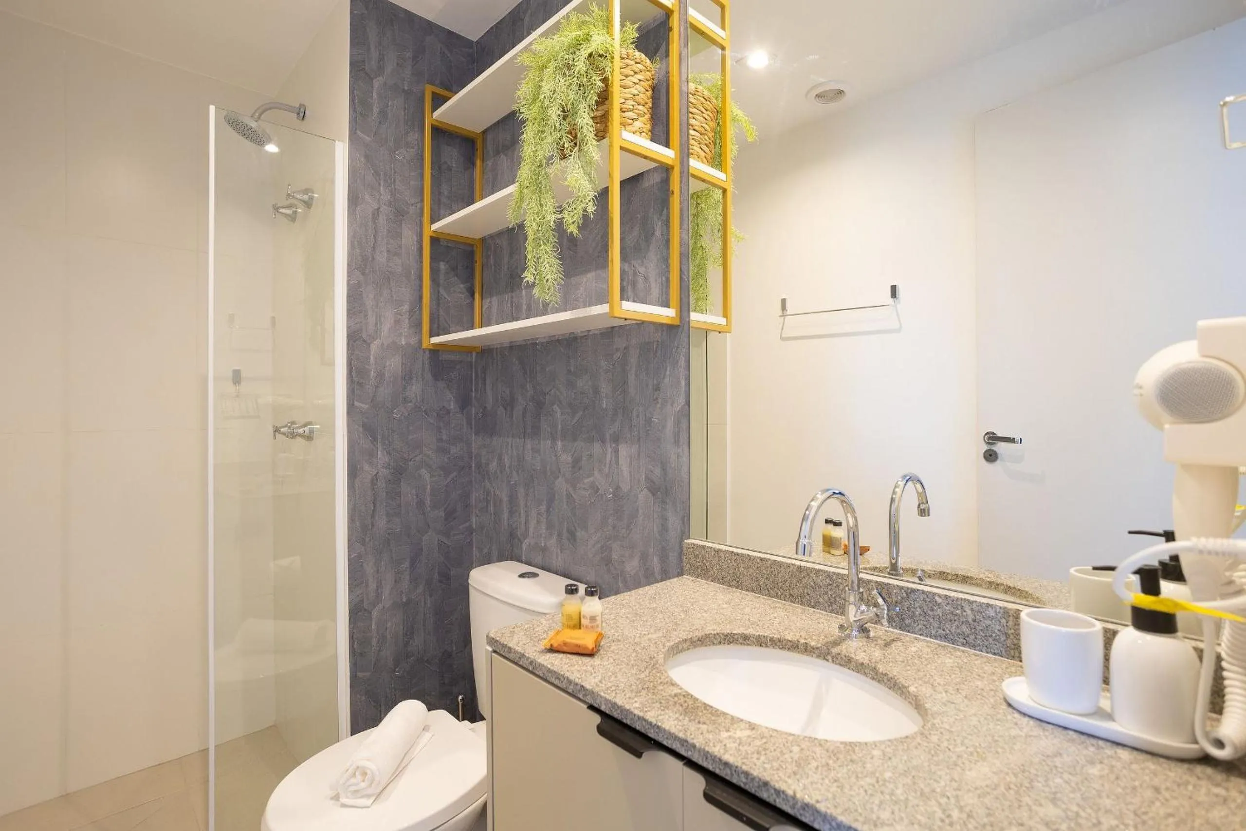 Toilet in Composite Moema