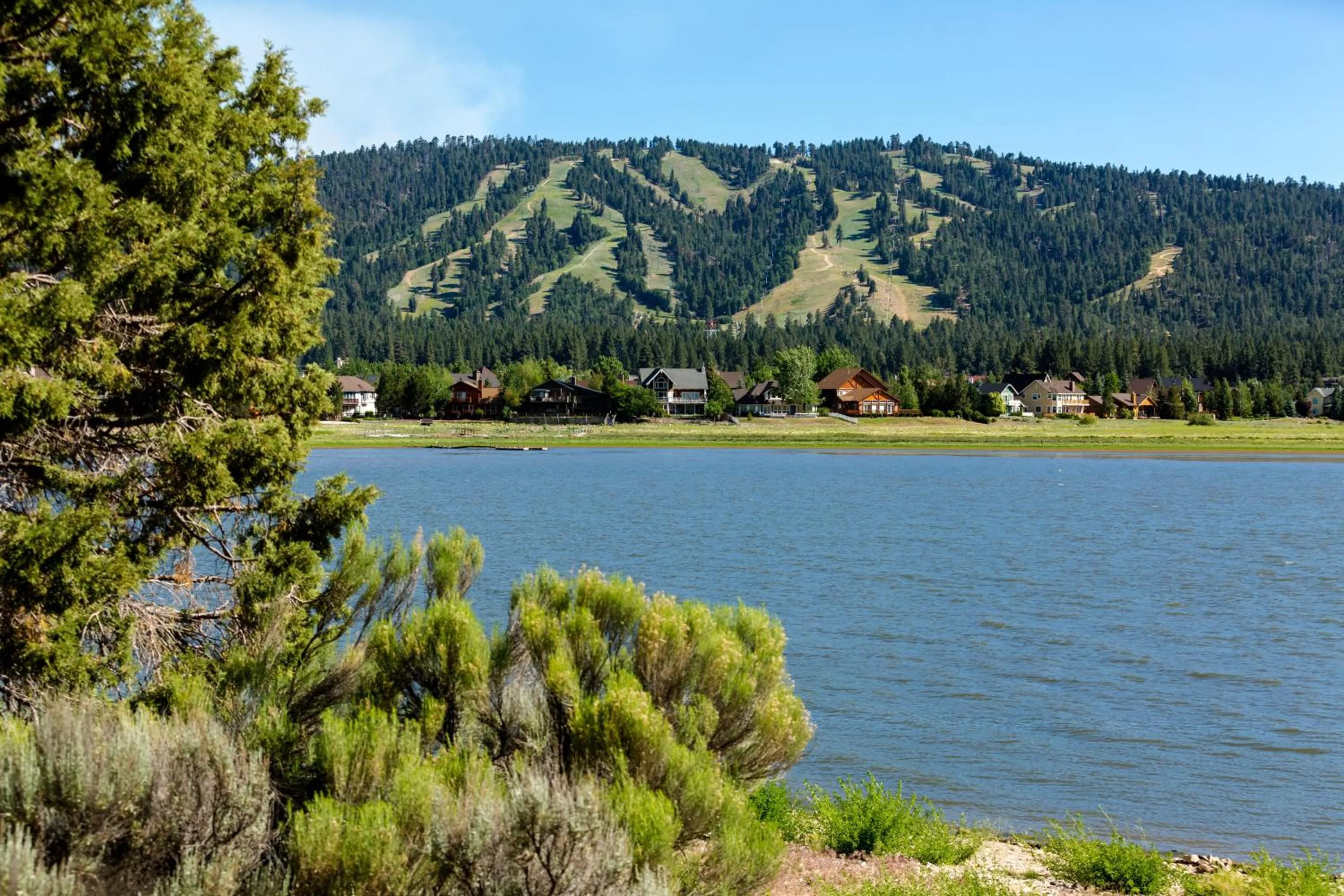 Bear mountain views #2235