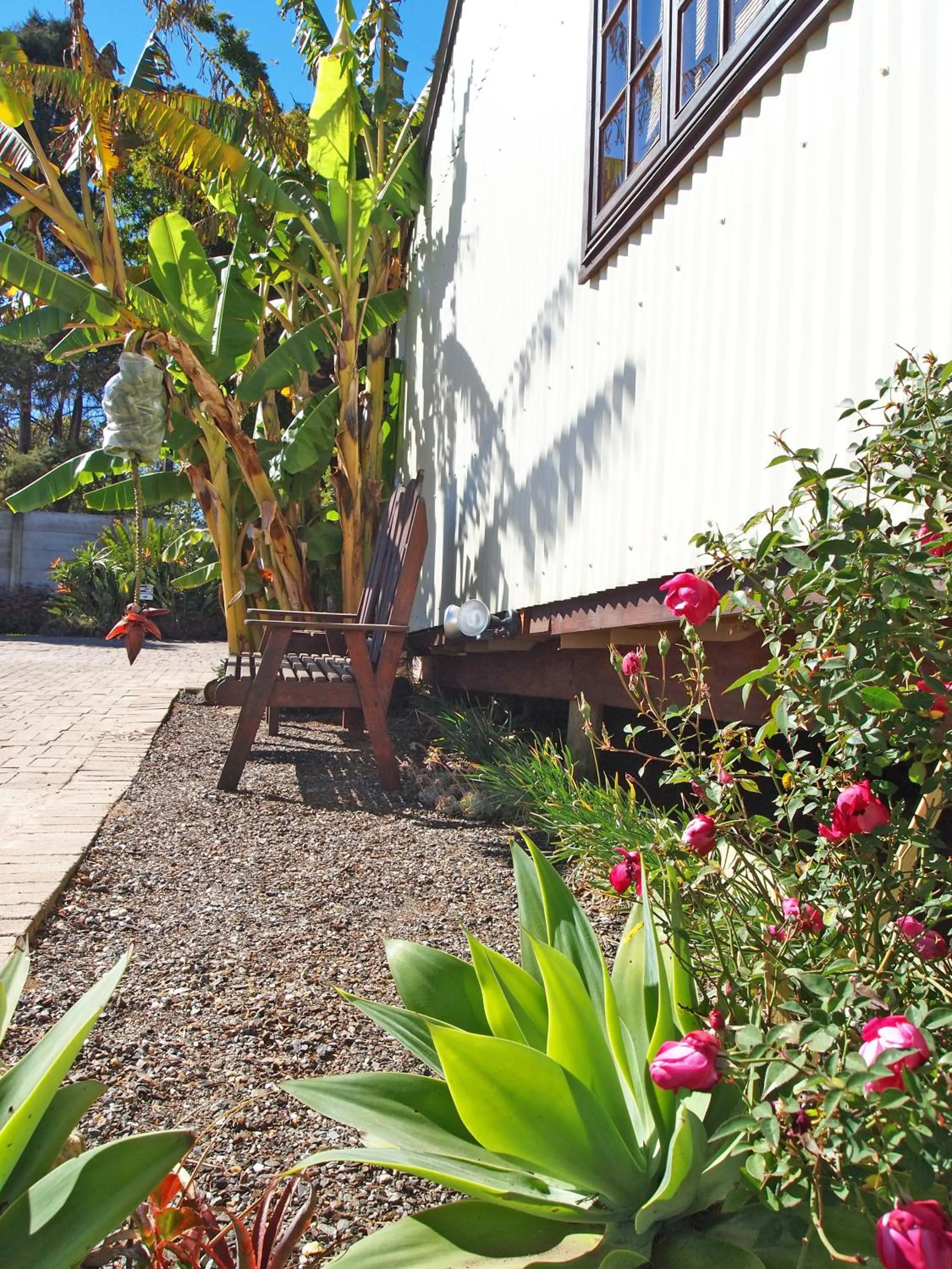 Natural landscape in Havana Nights