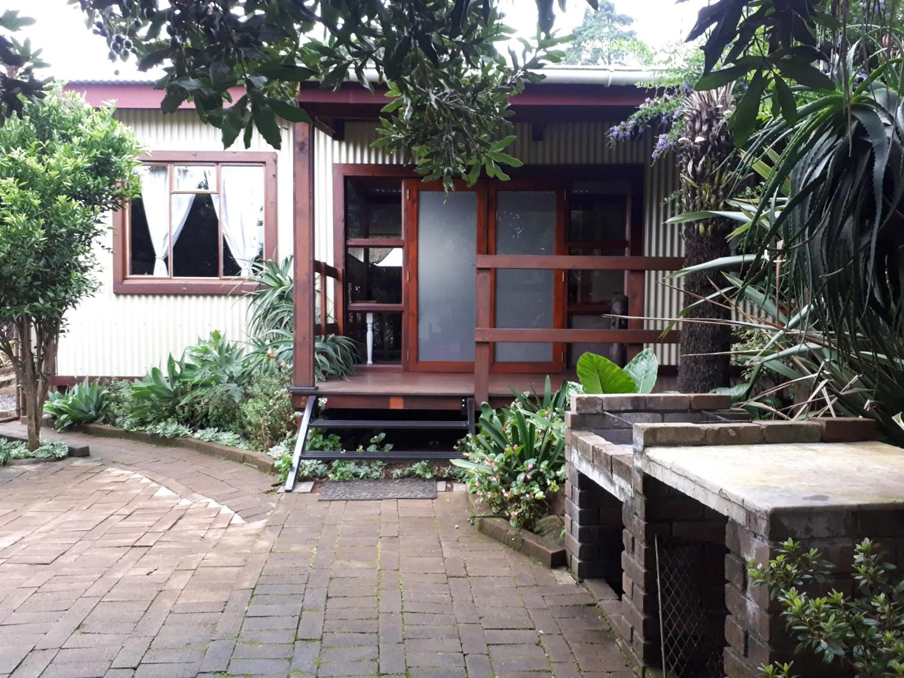 Patio in Havana Nights