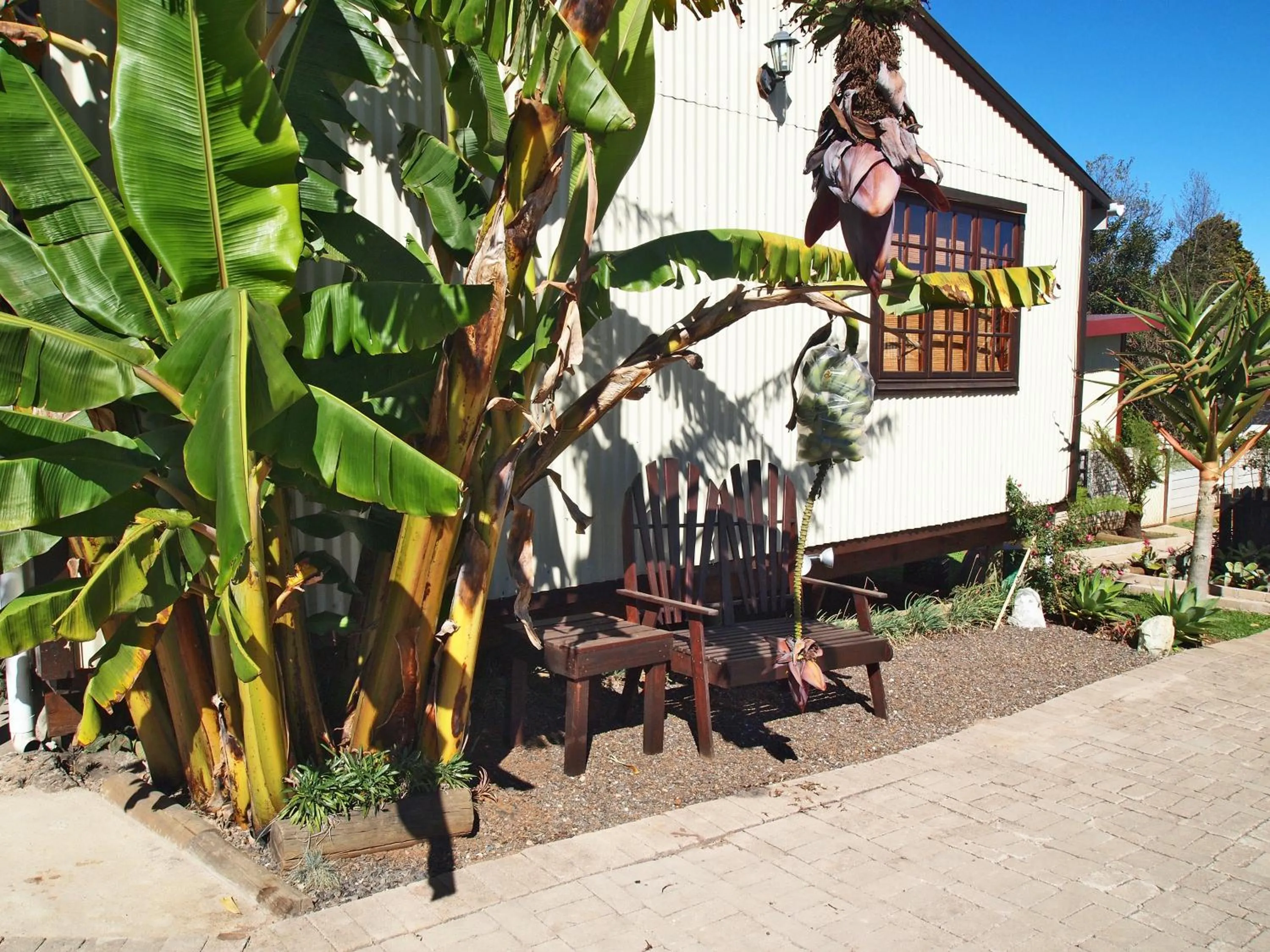 Property building in Havana Nights